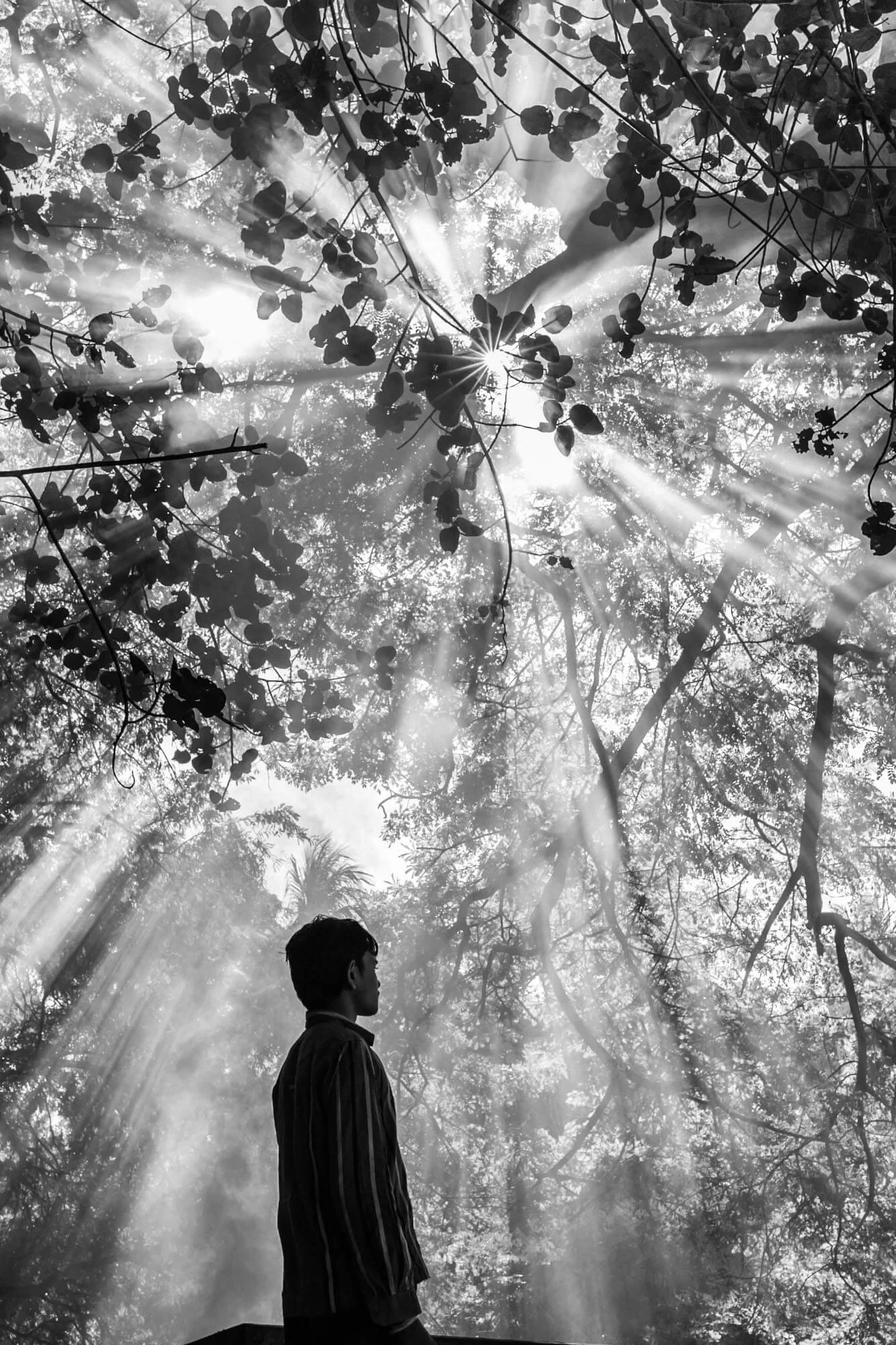 A black and white photo of a young man sitting outdoors in a forest, with sunlight streaming through the trees and leaves above him.