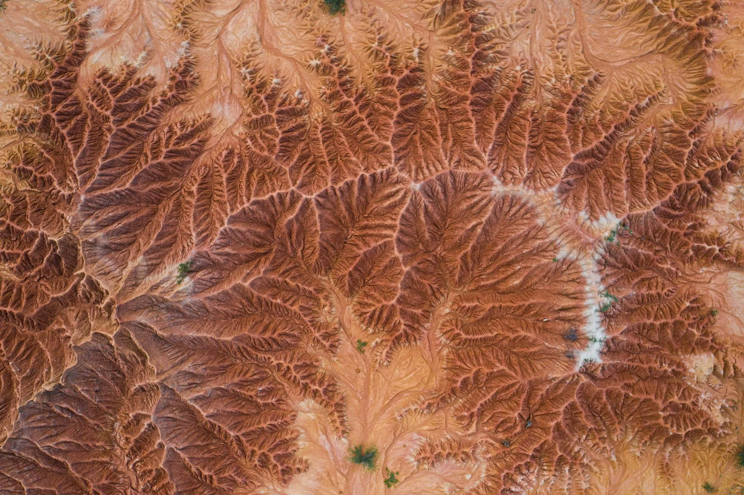 Aerial view of arid red canyon terrain with intricate rugged ridges, dry riverbeds, and sparse green vegetation.