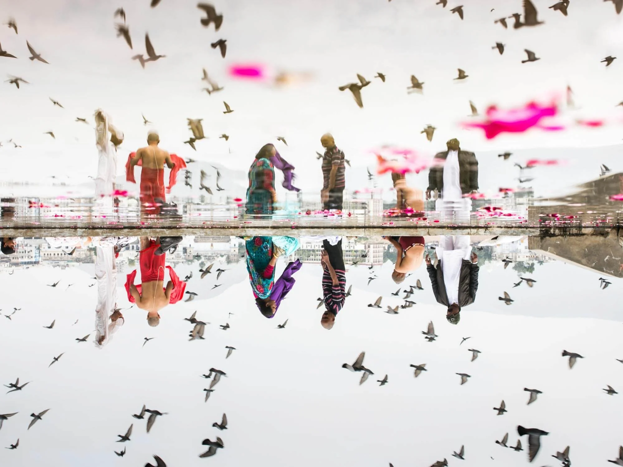 People walking on a wet surface with reflections visible, with a flock of pigeons flying overhead against an overcast sky.