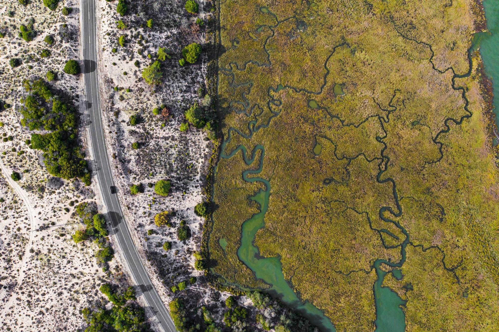An aerial view of a winding river or wetland area on the right side, with green and yellowish vegetation, and a roadside with sparse trees and shrubs on the left side.