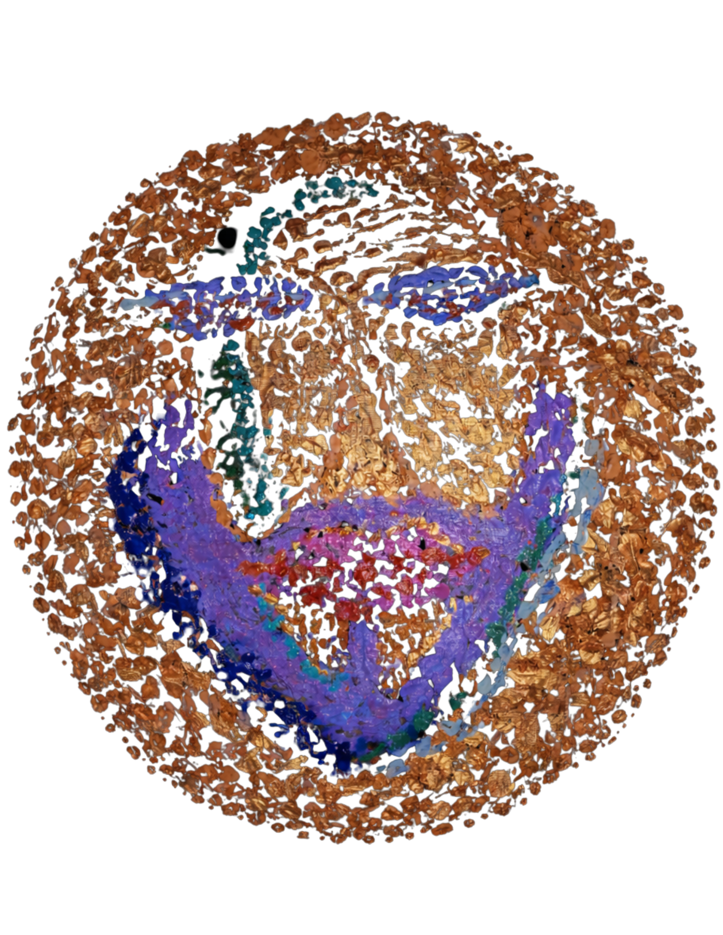 ACIRE MASTER PORTFOLIO V.0 (7).png