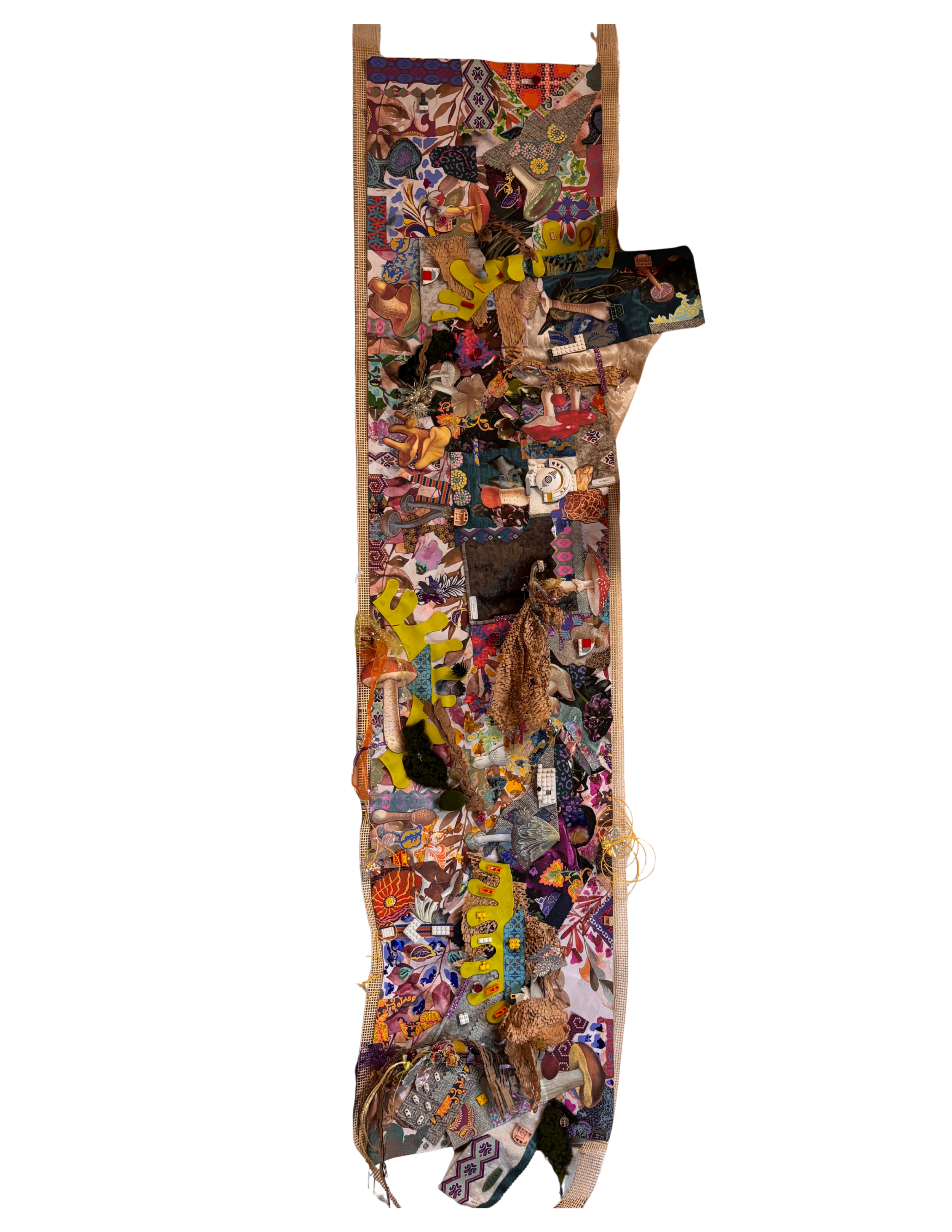 ACIRE MASTER PORTFOLIO V.0 (7).png