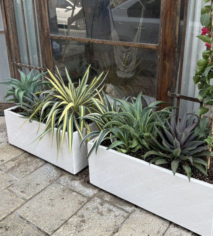 תכנון נוף - תמונה 2