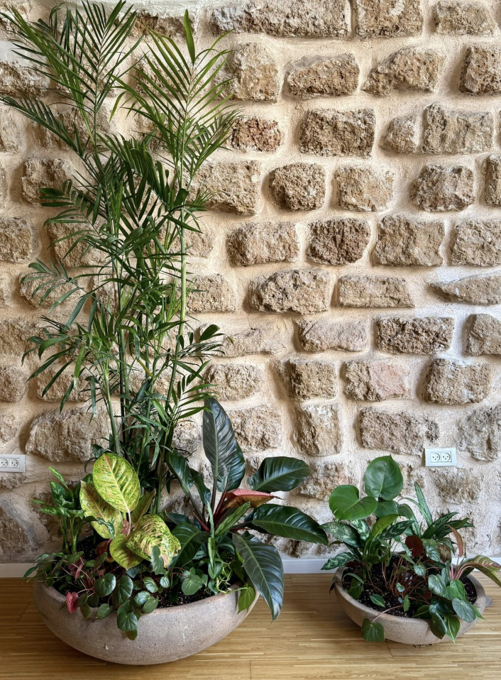 עיצוב פנים בוטני - תמונה 8