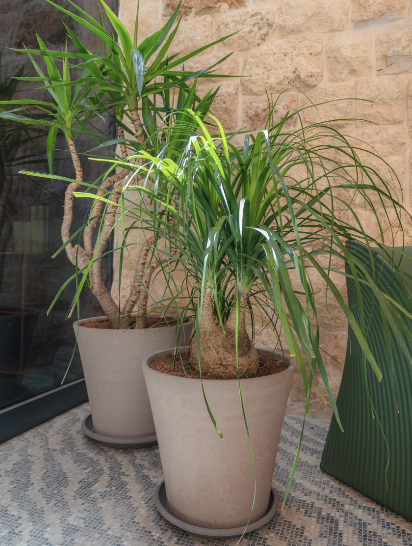 תכנון נוף - תמונה 5