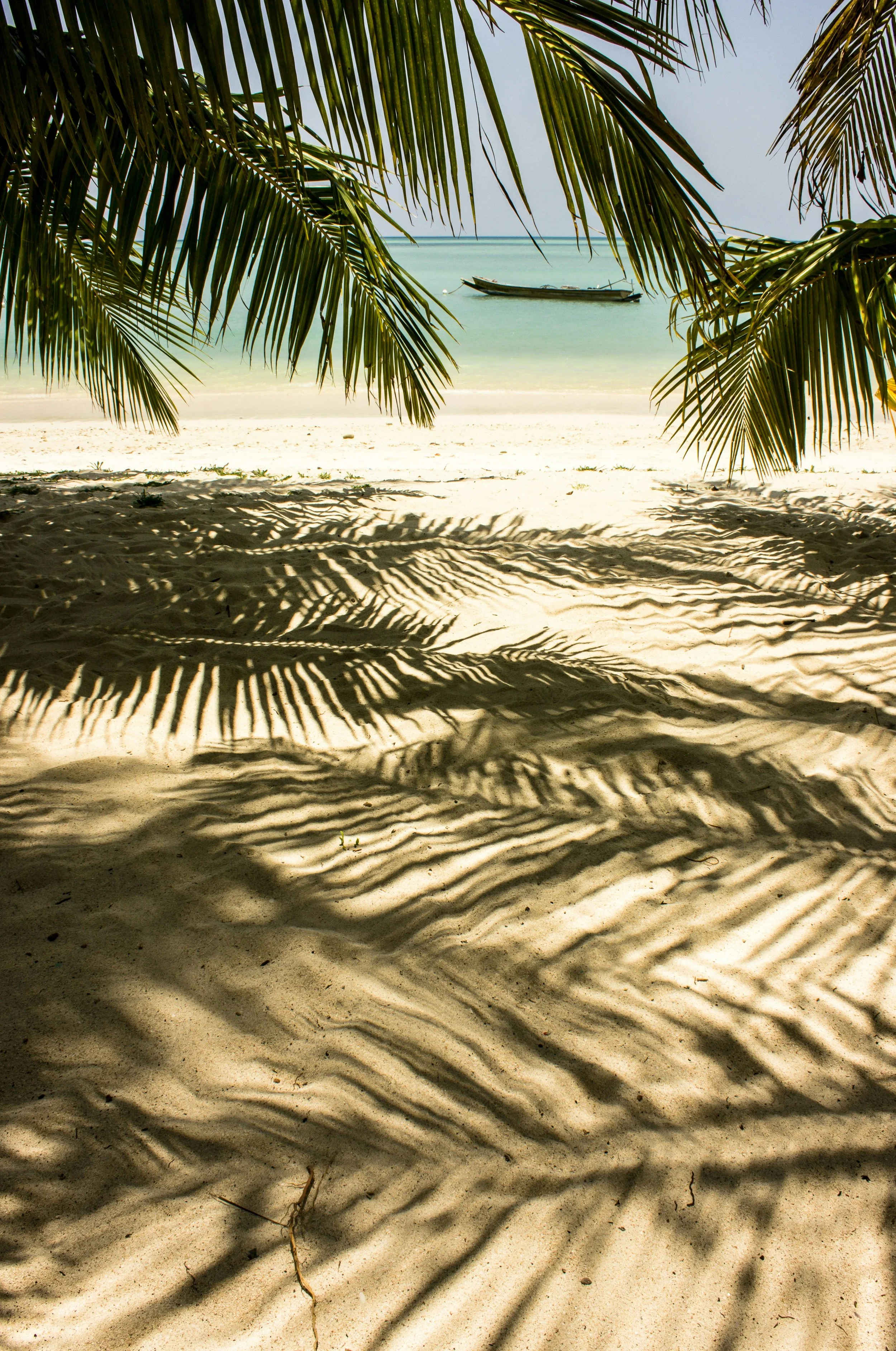Plage de sable avec des ombres de feuilles de palmier, bateau au loin, mer calme et ciel clair.