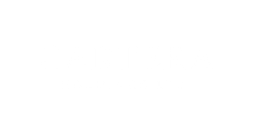 Cartera Holdings Ltd