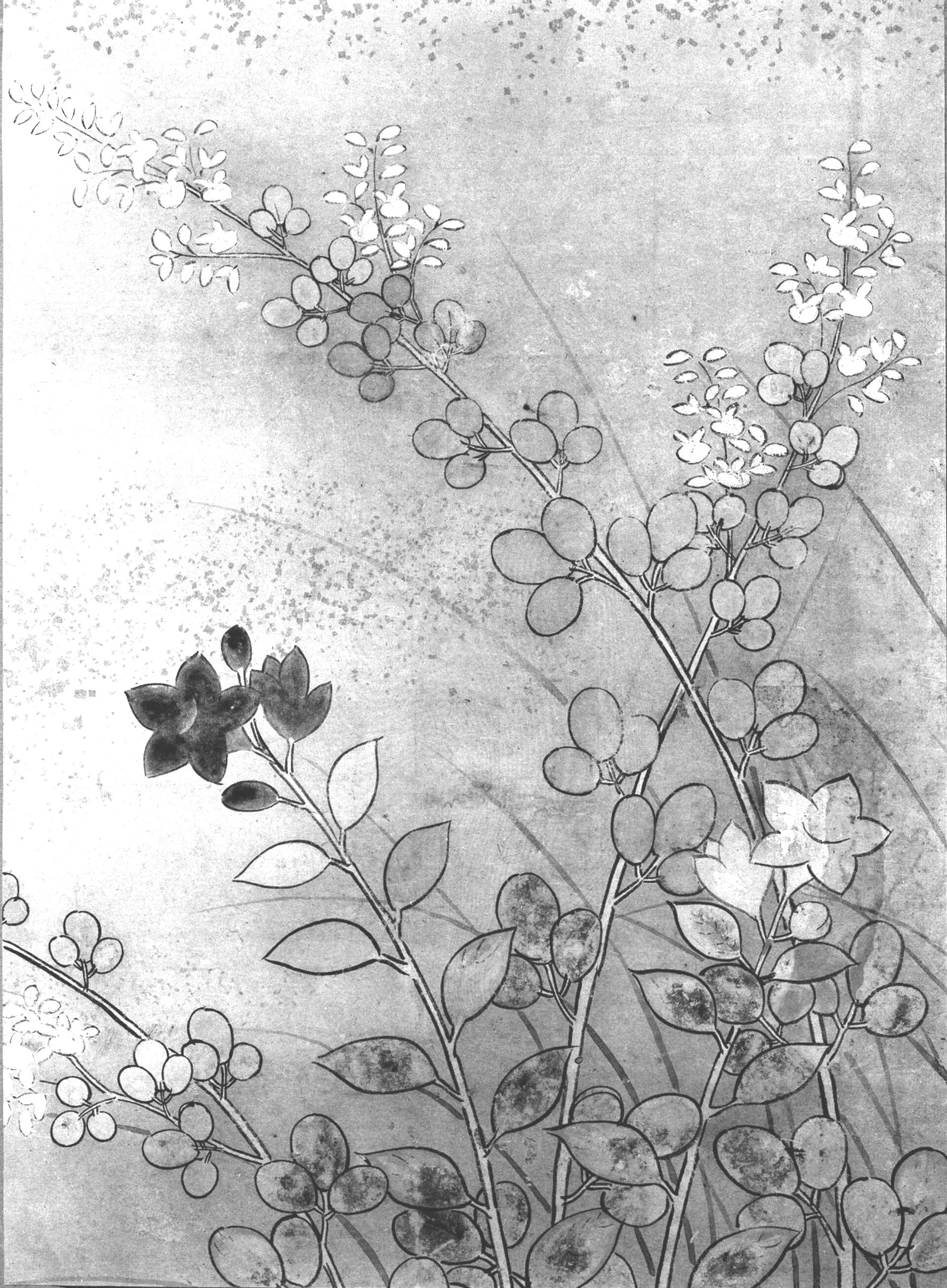 ON DEMAND - HOME SERVICE SESSION