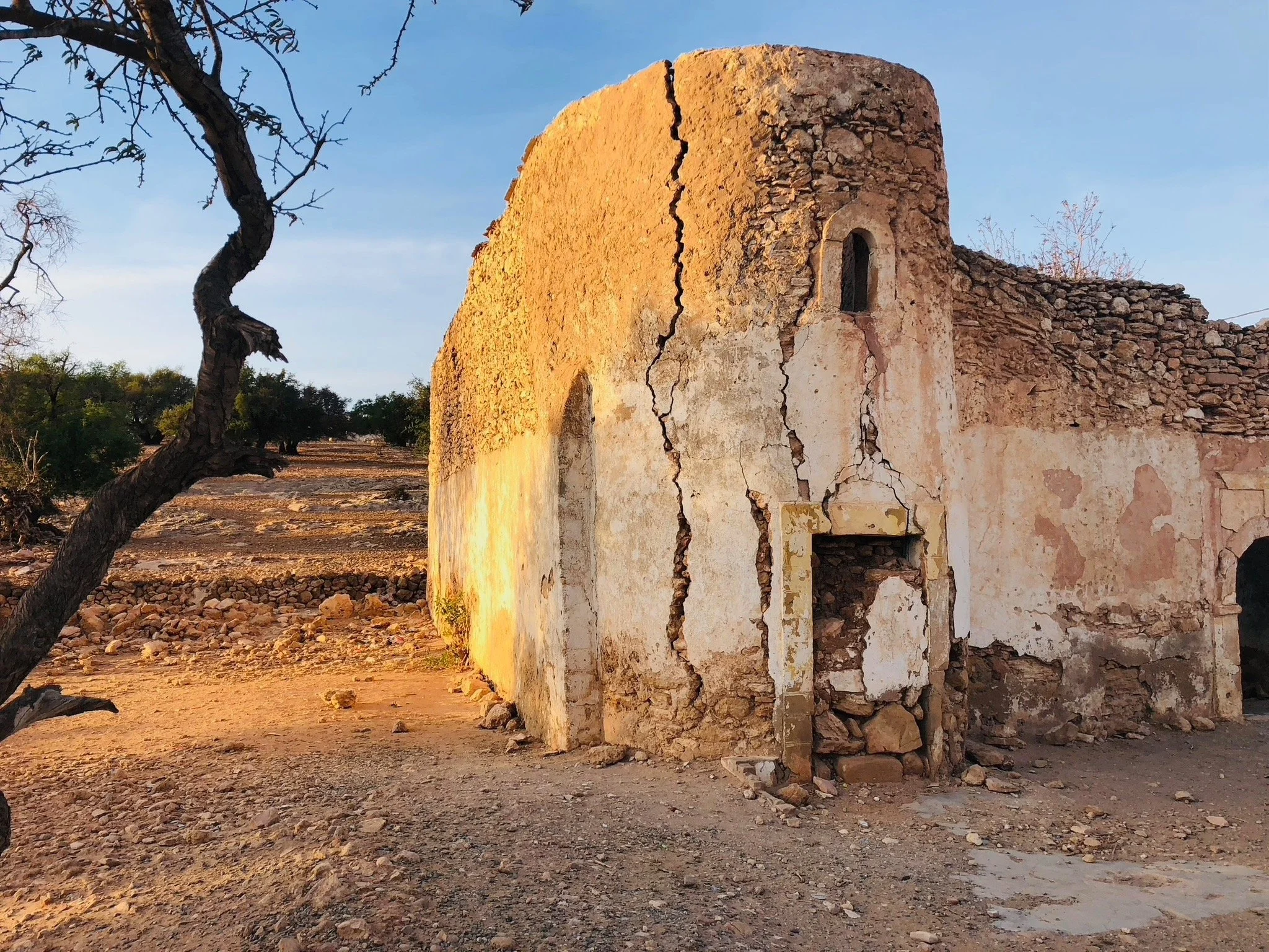 An abandoned old adobe building with cracks and missing parts in a desert landscape with a twisted tree in the foreground and a clear blue sky.