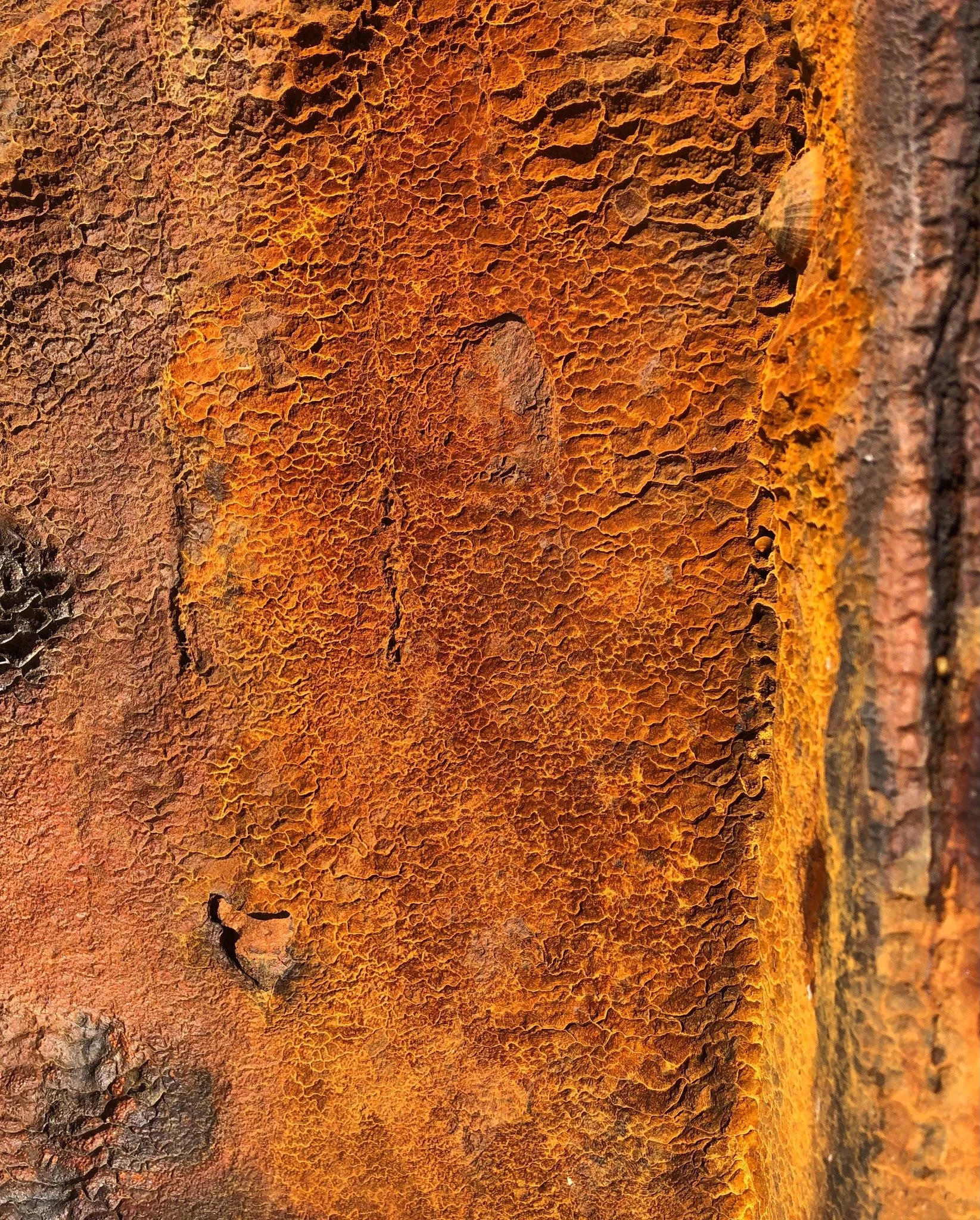 Close-up of rusted, textured metal surface with orange and brown rust patches.