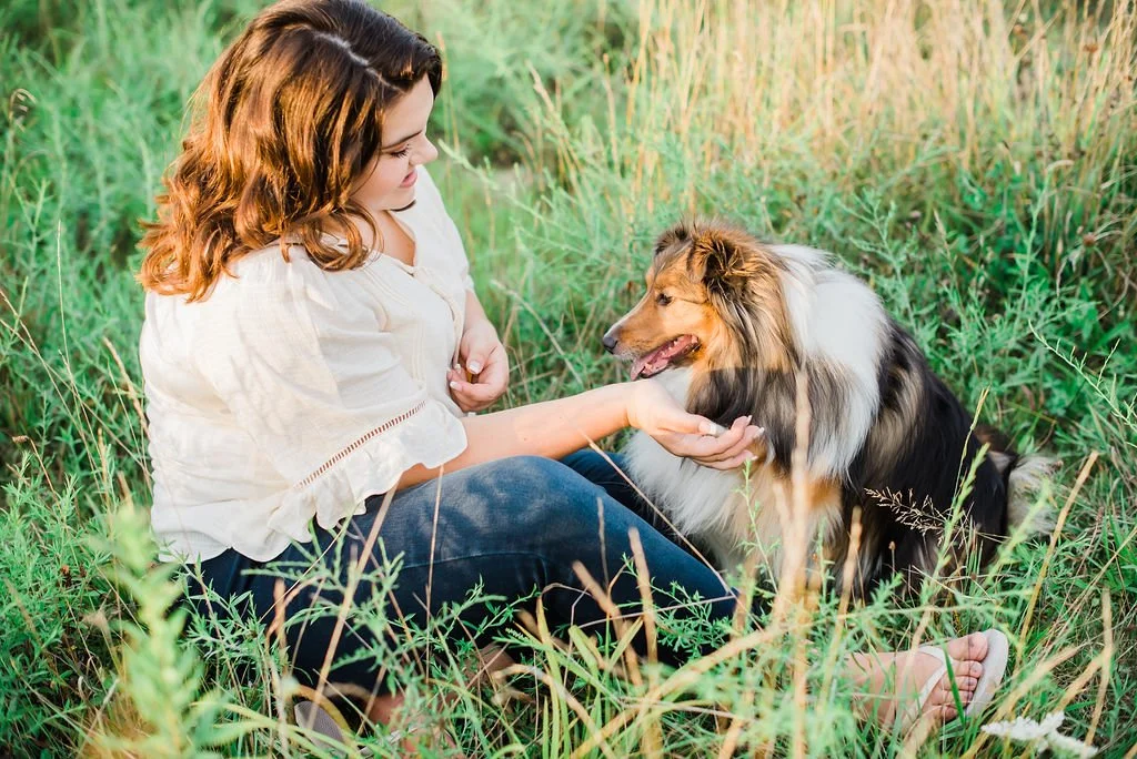 A woman with brown wavy hair sitting in tall grass, extending her hand to a Shetland Sheepdog.