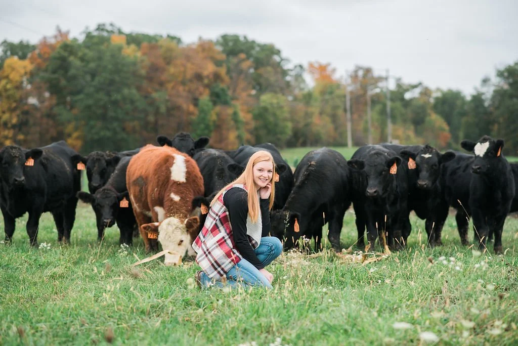 A young woman kneeling in a green field with several black cows and a few brown and white calves, autumnal trees in the background.