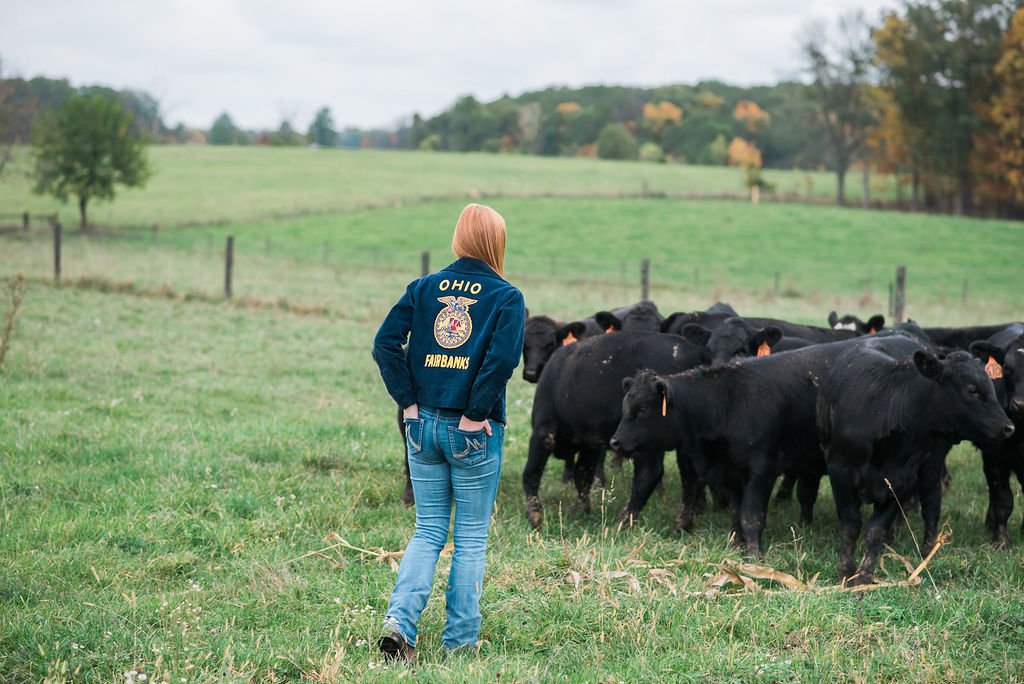 A person with red hair wearing a dark blue jacket with 'OSHO FAIRBANKS' and a badge on the back, standing in a green field with black cows, with trees and rolling hills in the background on a cloudy day.