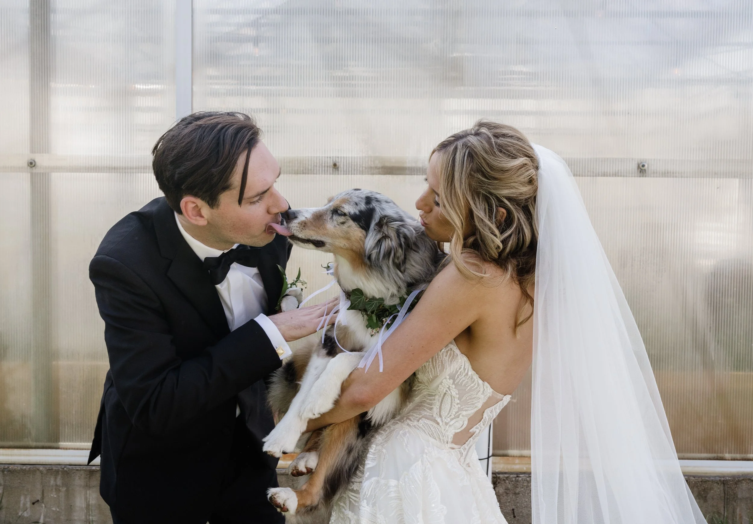 Bride and groom kissing their dog