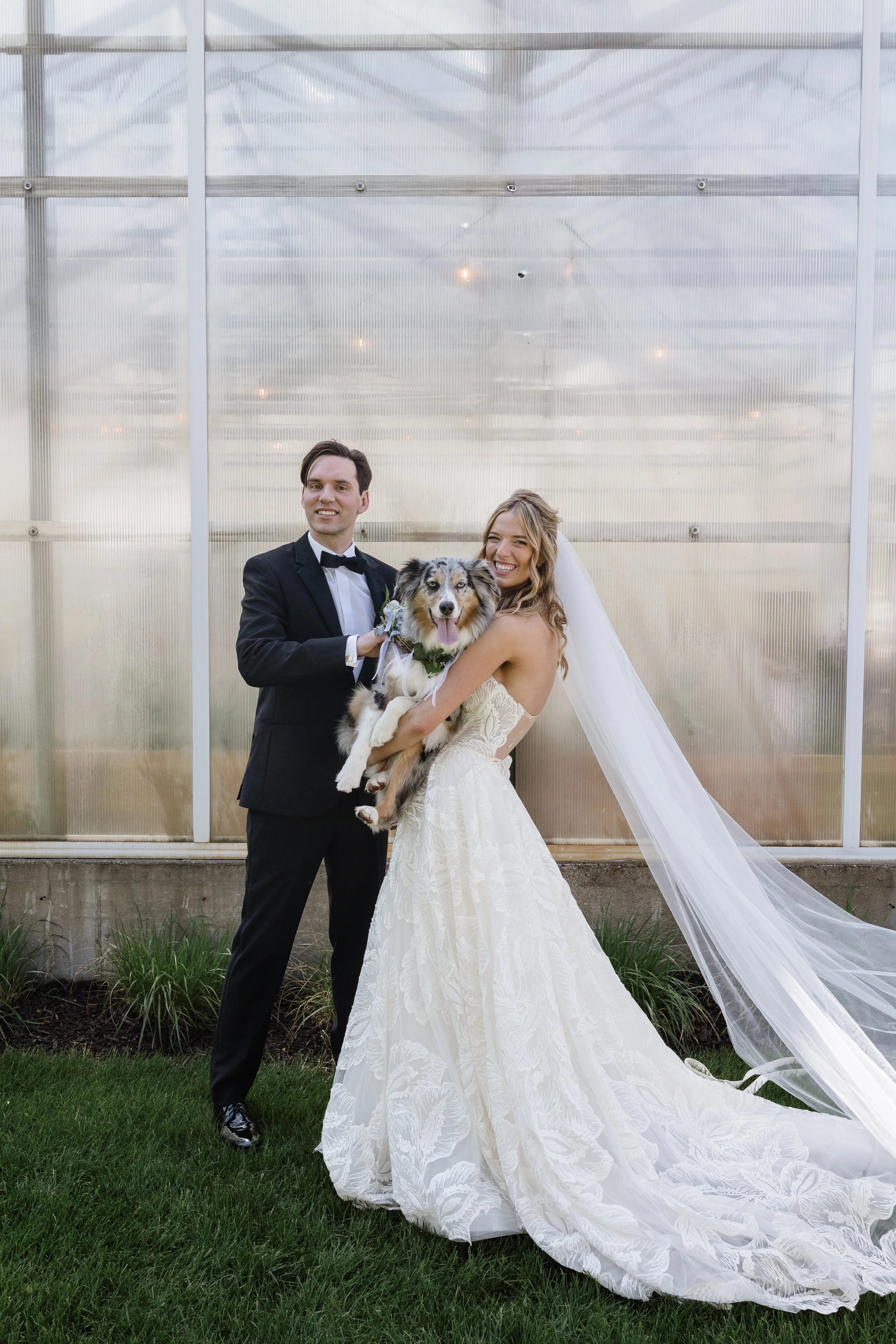 Dog at wedding with Bride and Groom