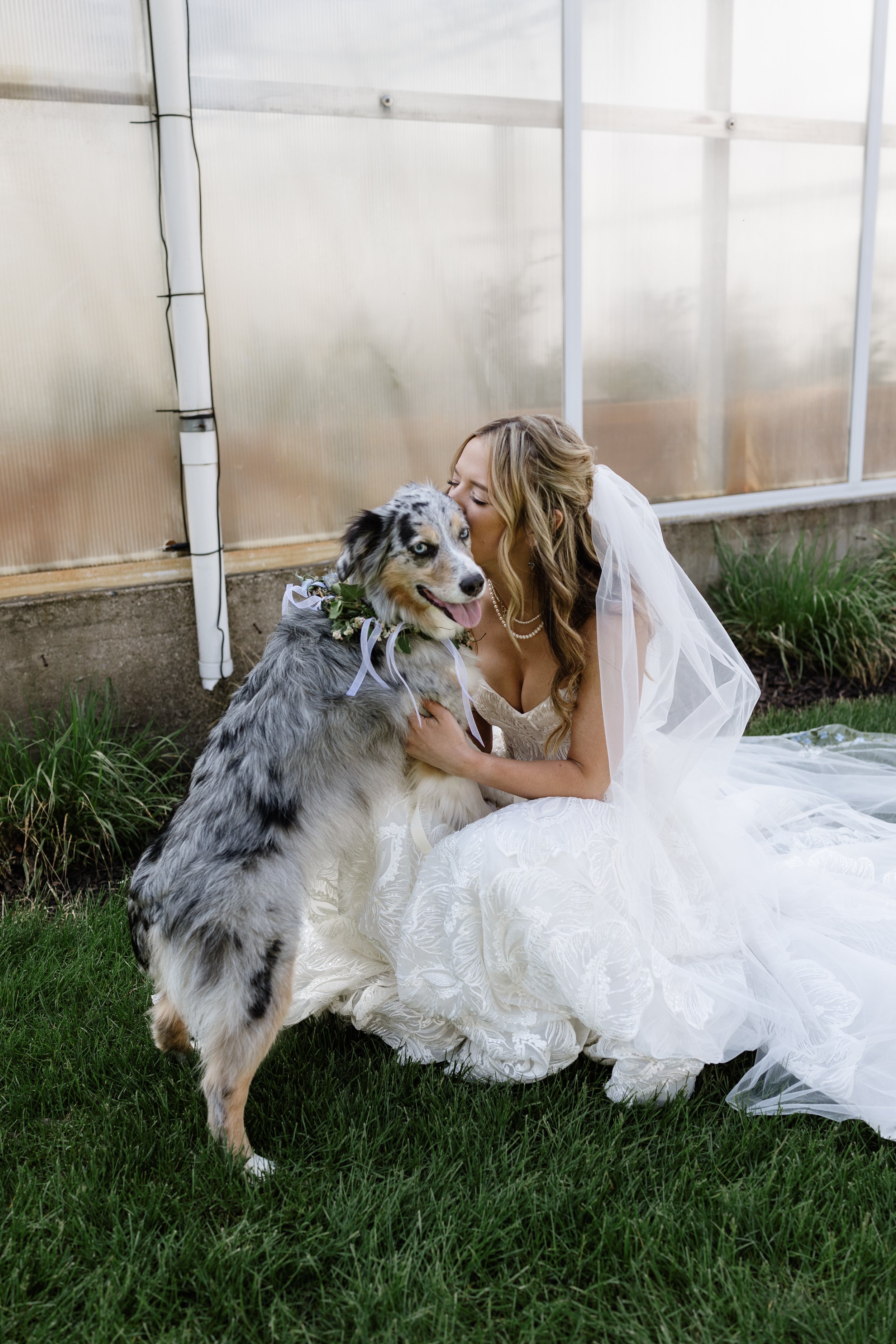 Bride kissing her dog.jpg