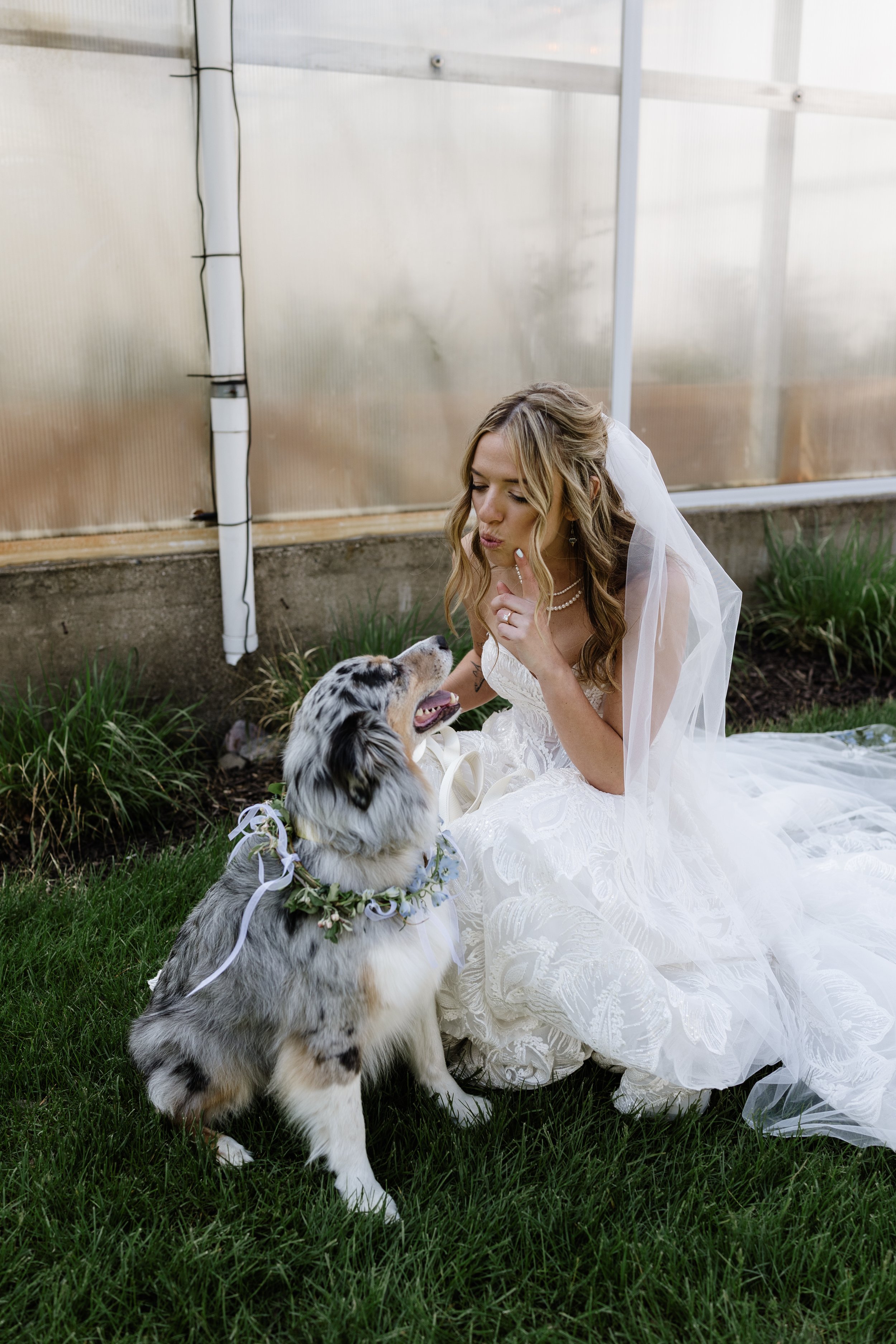 Bride talking to her dog at wedding