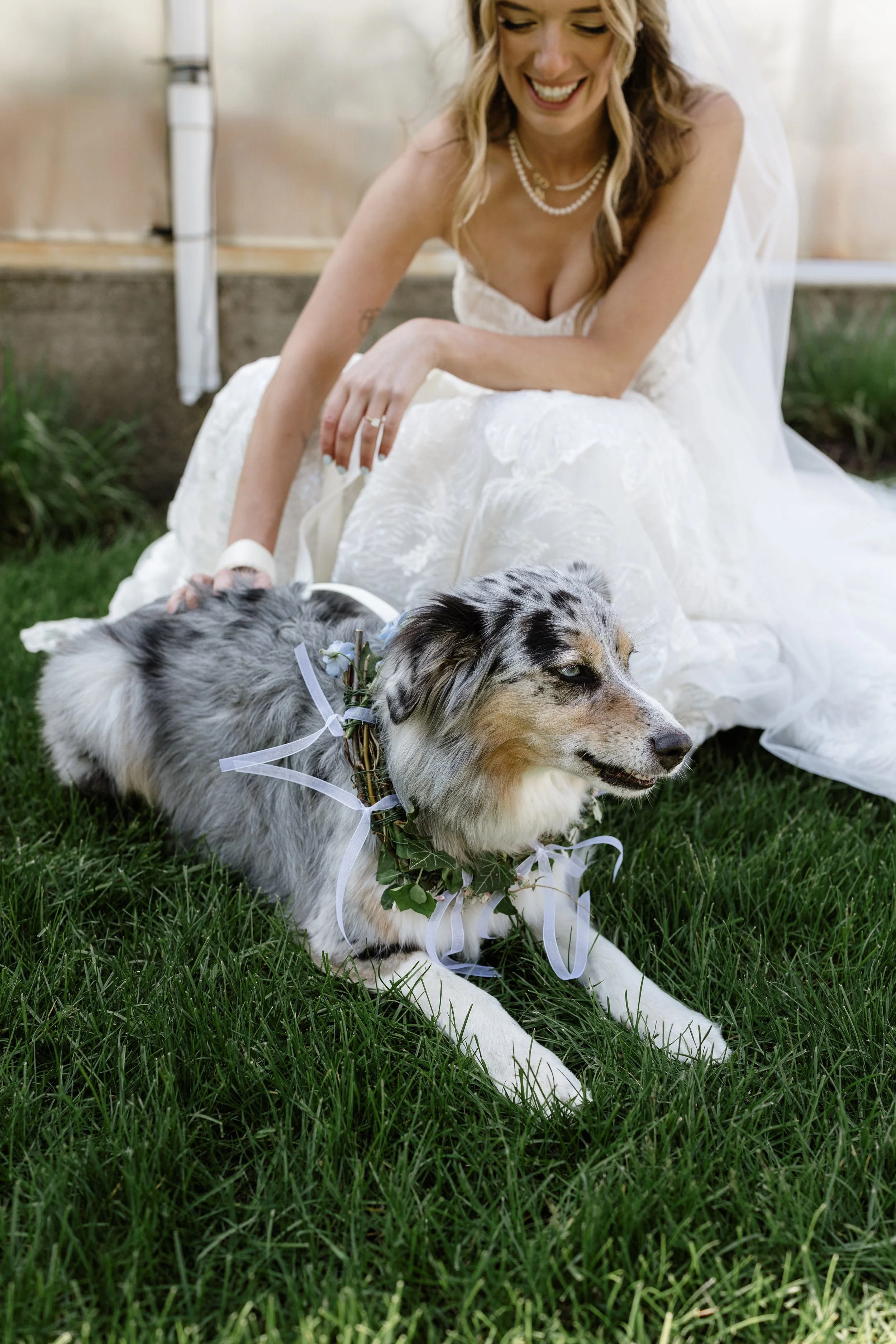Bride petting her dog