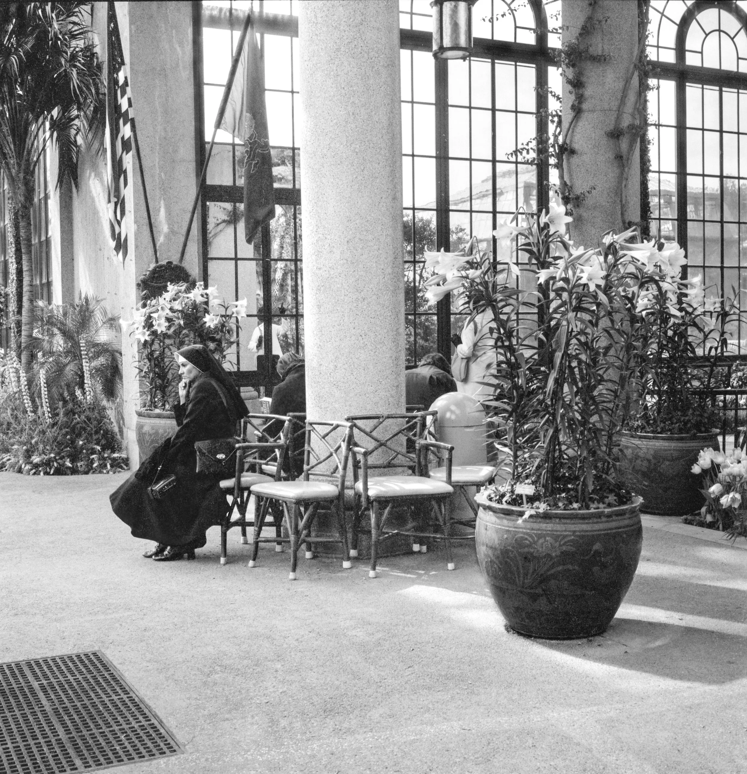 People sitting on chairs beside large plants in a sunny indoor space with large windows.