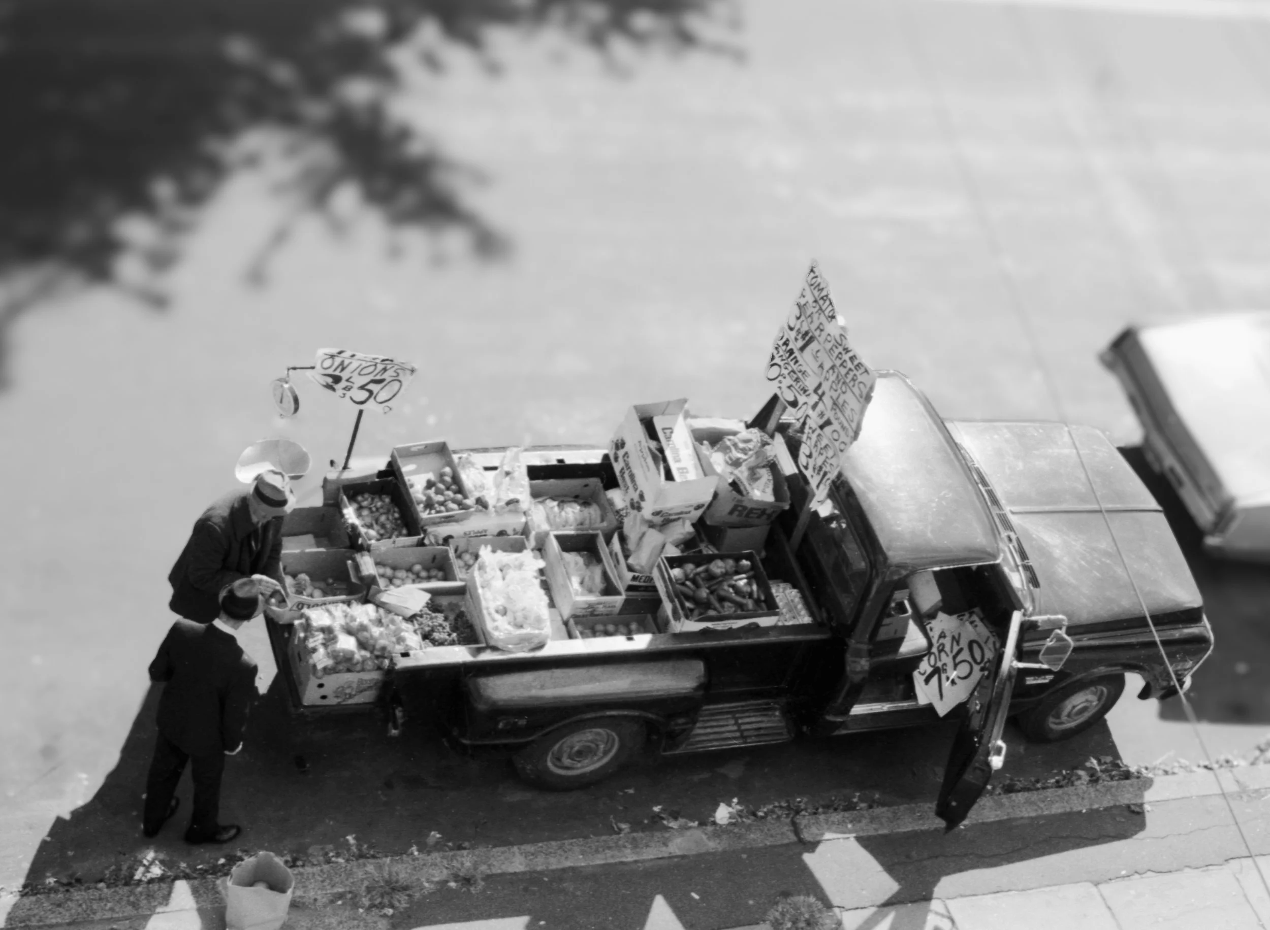The Fruit Vendor