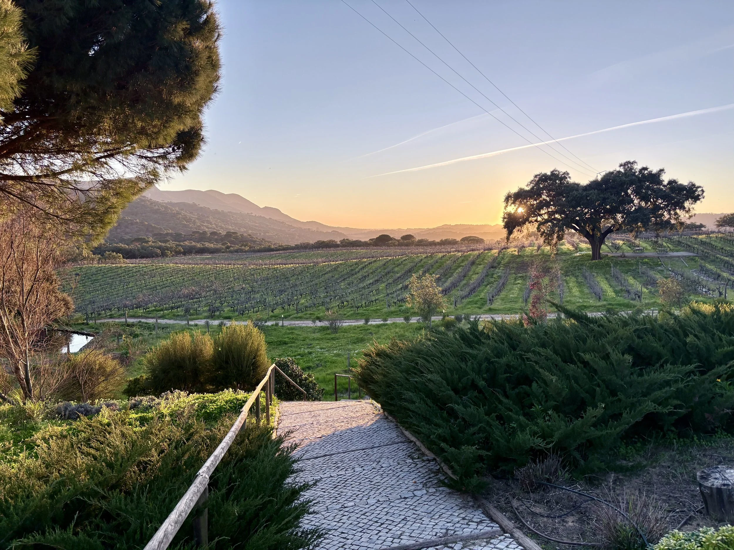 Casa Palmela |iPhone 16 Camera