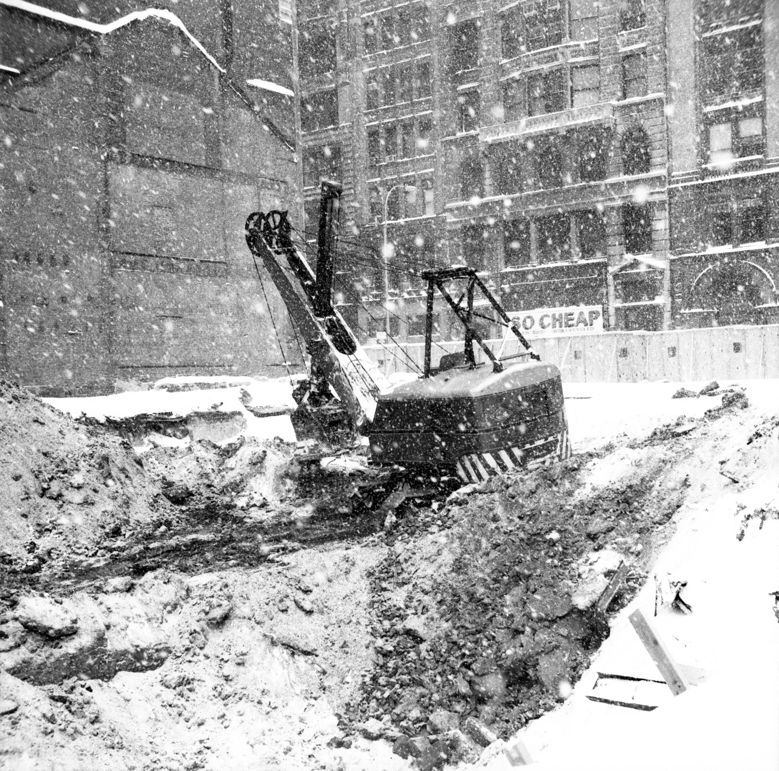 Snow Crane | Leica iiiF