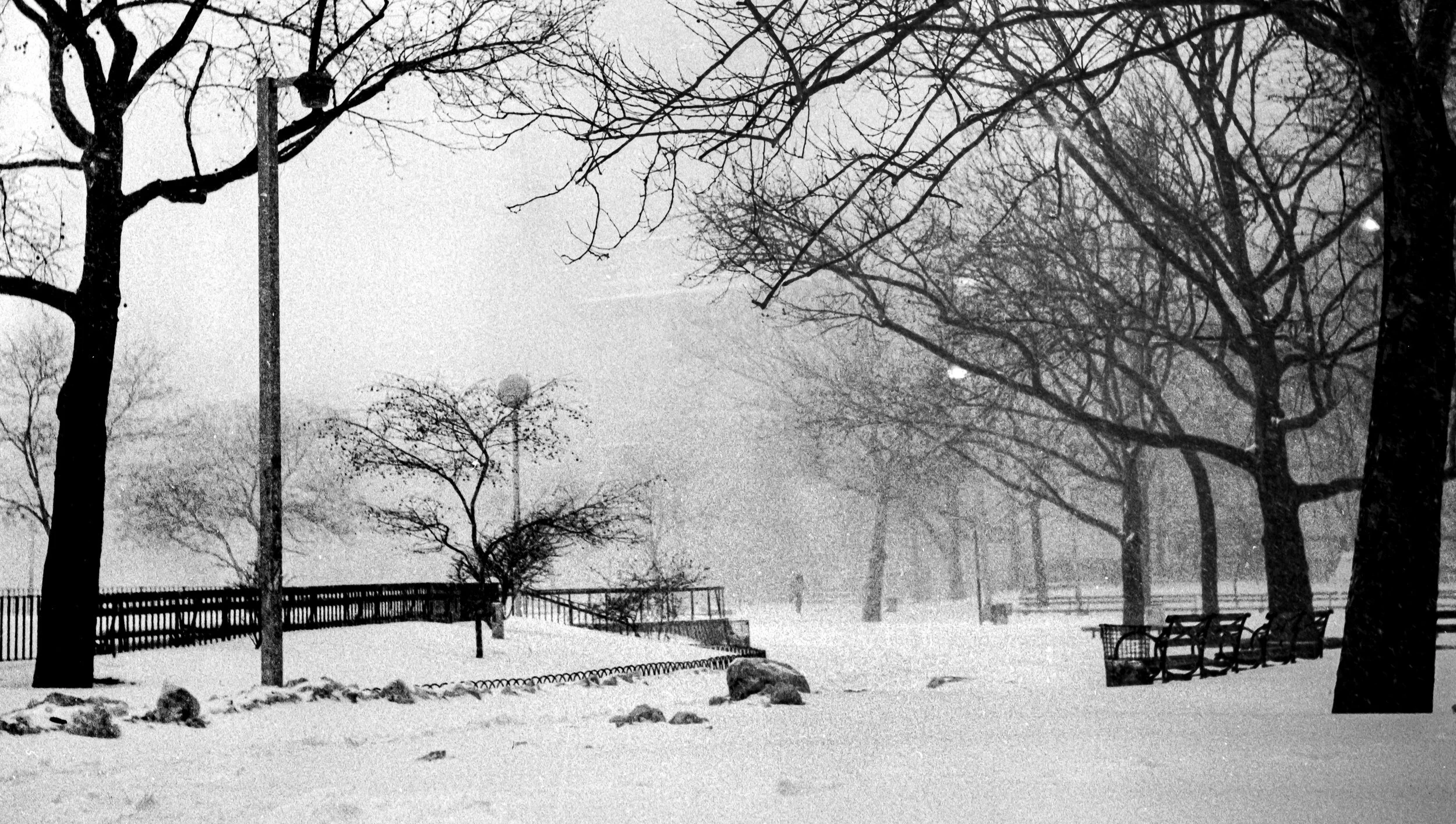 A snowy park scene with bare trees, benches, and a snow-covered pathway, with a foggy or snowy background.