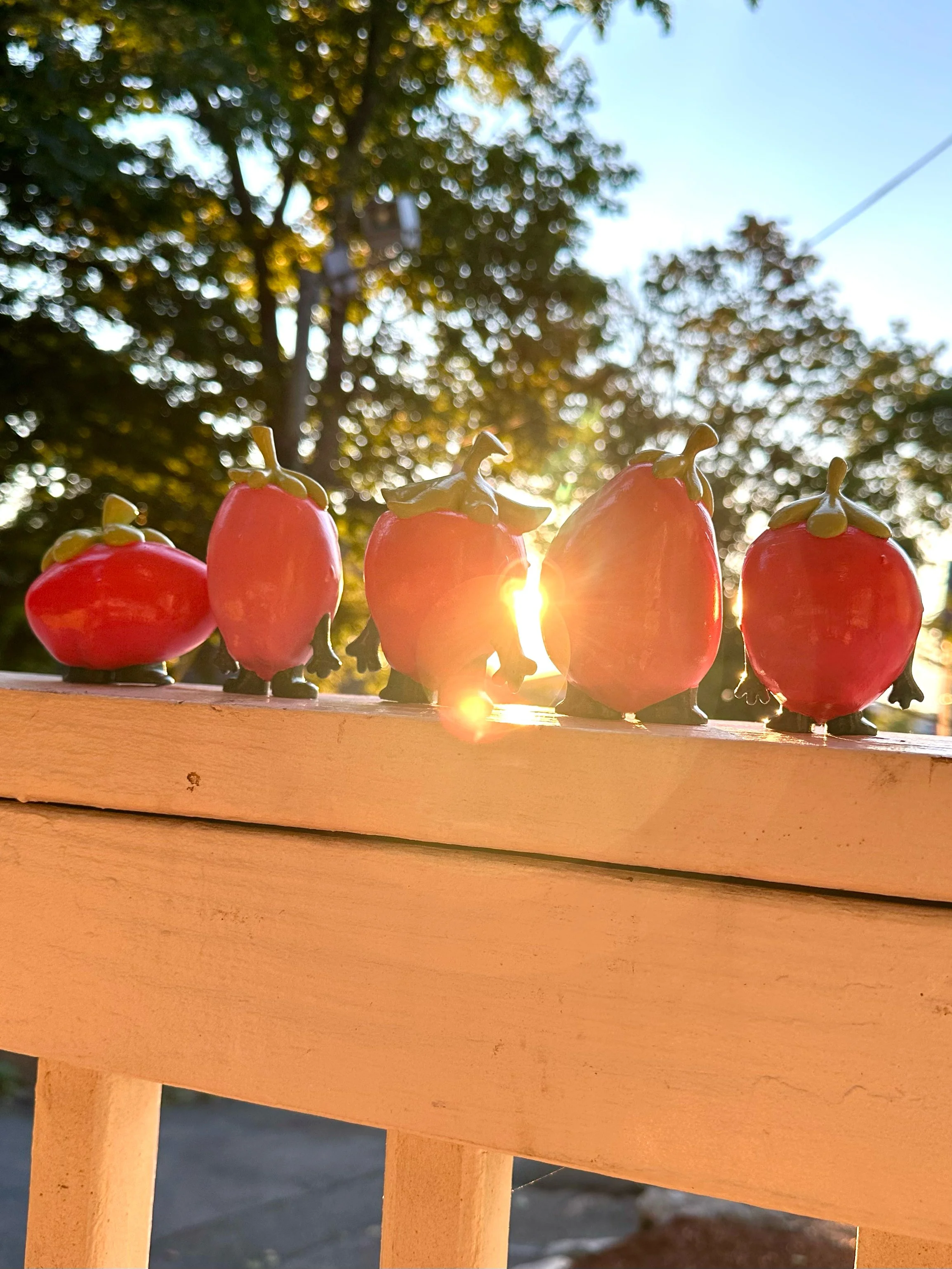 TheStrawberryPatch2.jpg
