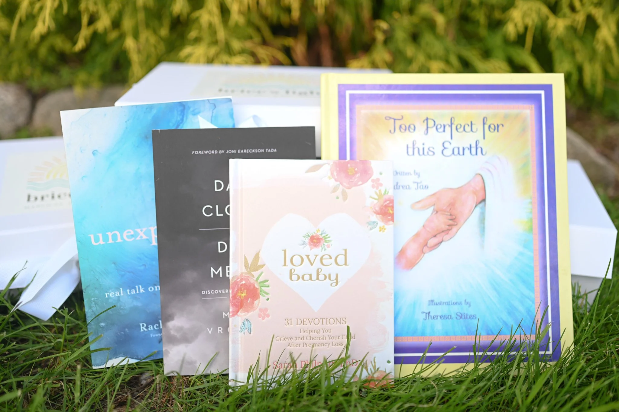 A collection of books and devotionals standing on green grass outdoors, with a blurred background of green foliage.