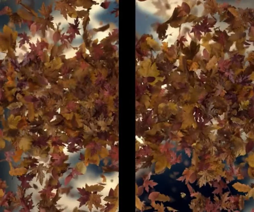 The Shard - Sound/Music/Install