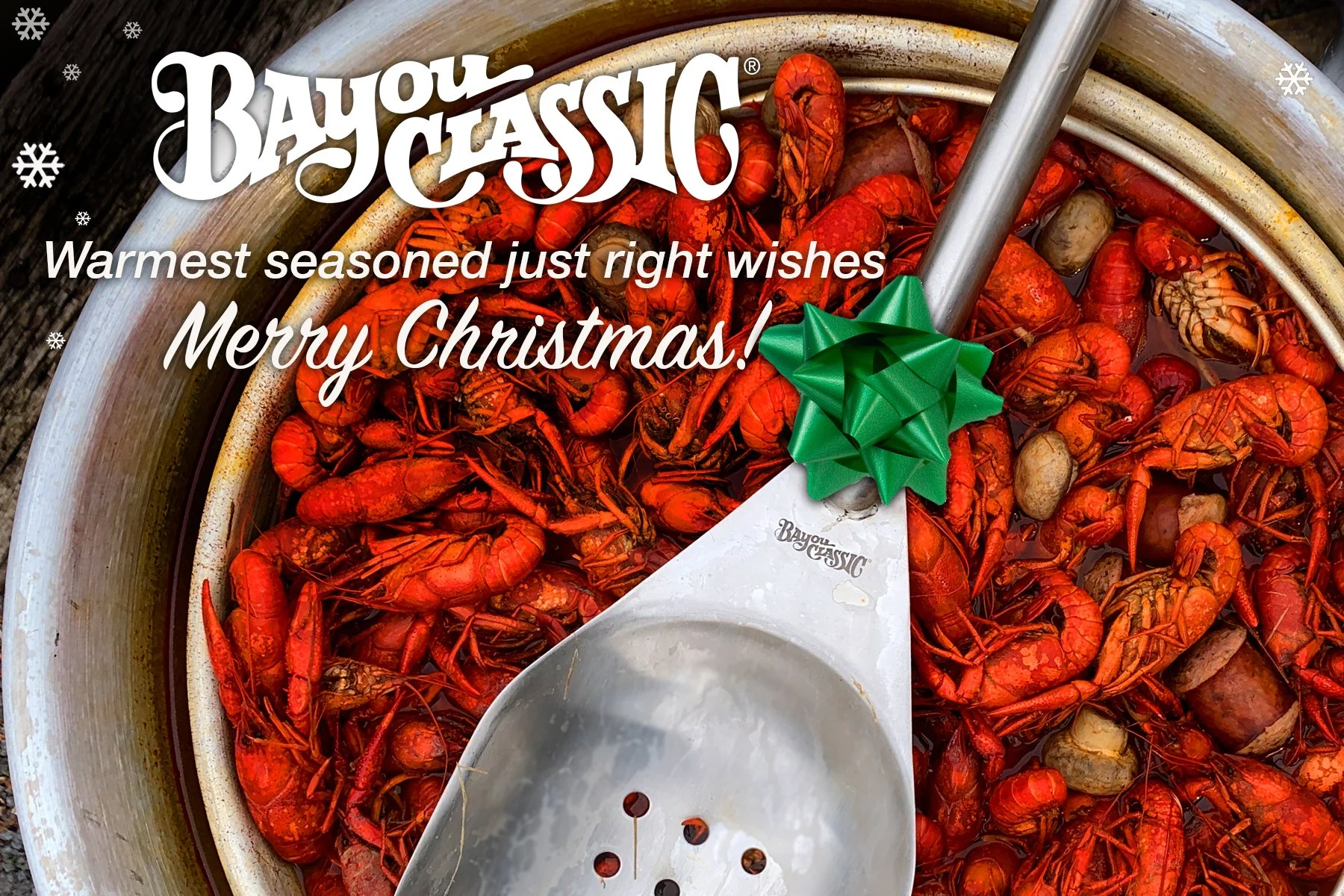 christmas card copy.jpg