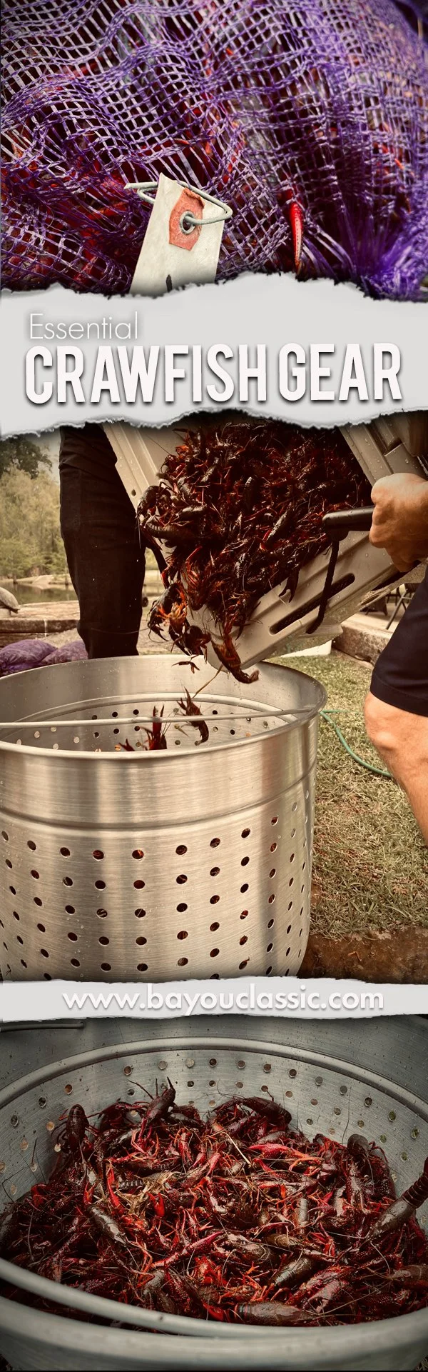 essential Gear Vintage.jpg