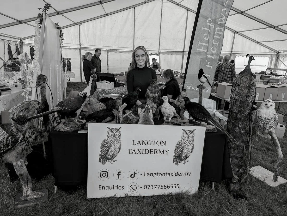 A woman standing behind a display of taxidermy birds and an owl at a market stall with a sign that reads "Langton Taxidermy" and contact information, under a large tent.