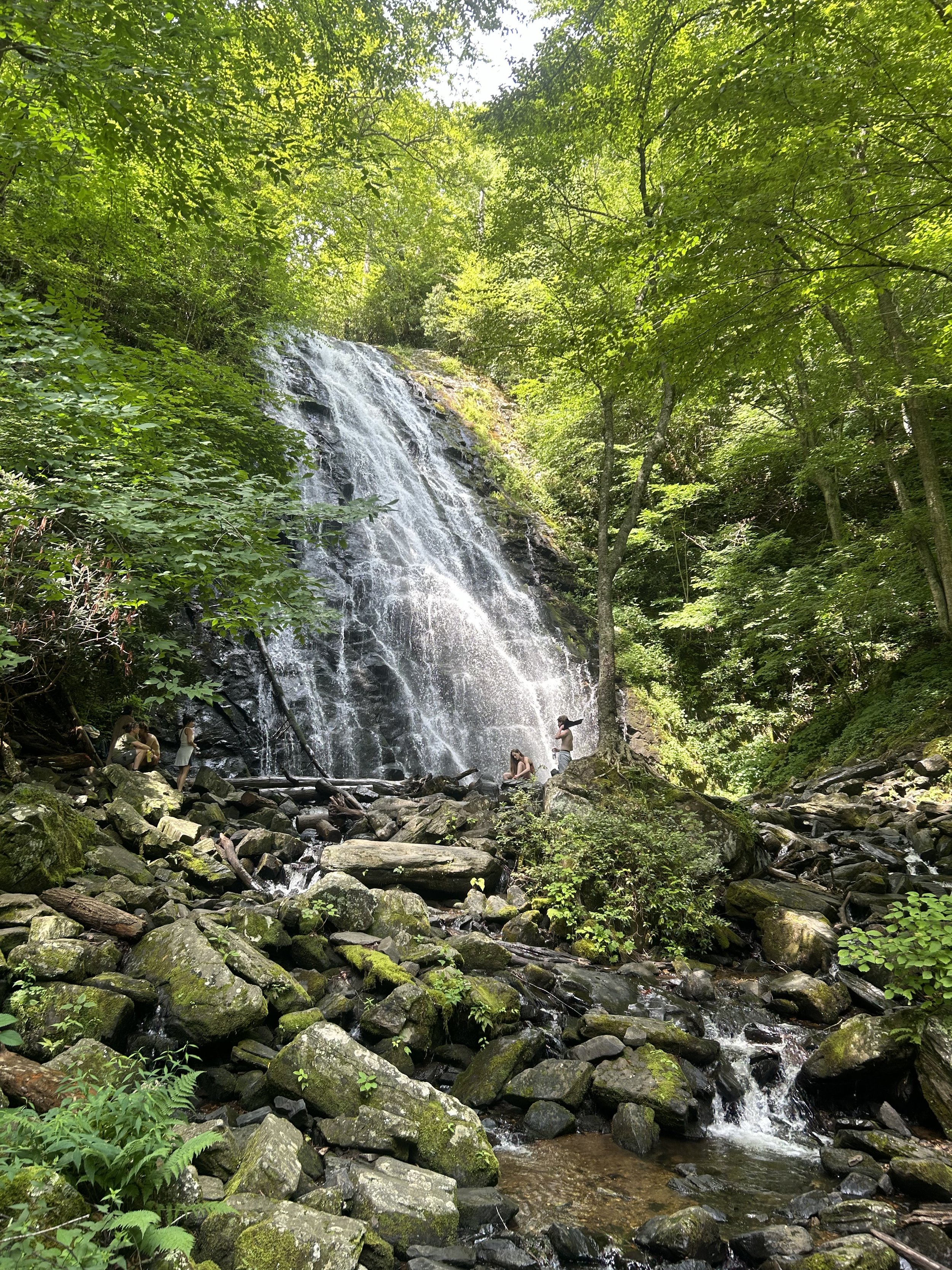 A waterfall cascading down rocks into a stream in a forest with green leaves and trees overhead. Several people are sitting and standing near the water.