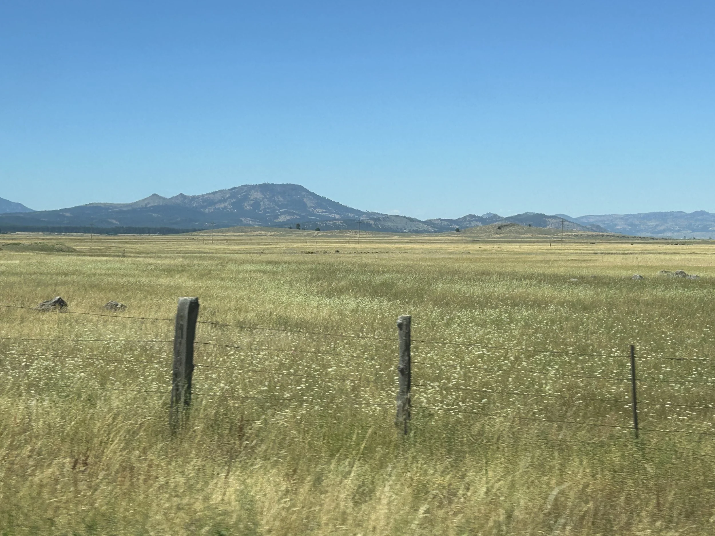 Open grassy plain with a fence in the foreground and mountains in the background under a clear blue sky.