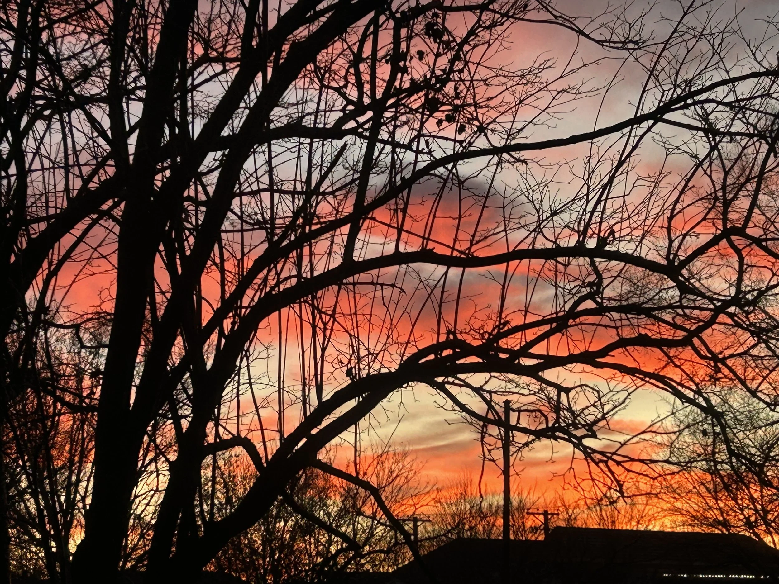 A silhouette of leafless trees against a colorful sunset sky with shades of pink, orange, and purple.