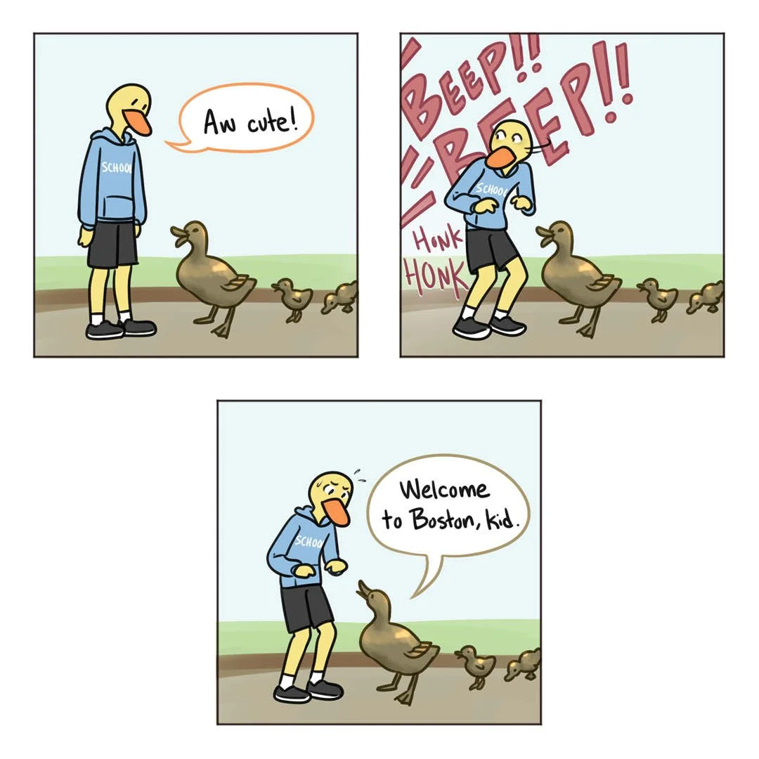 classicducky9.jpg