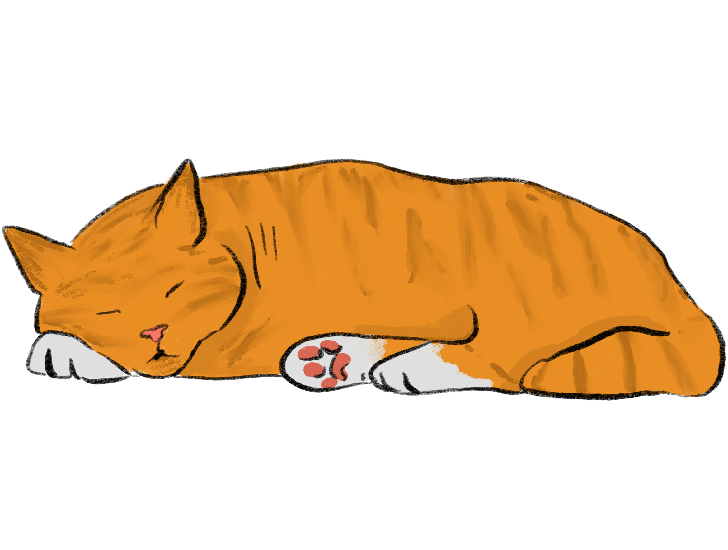 Illustration_sans_titre-1+3.png