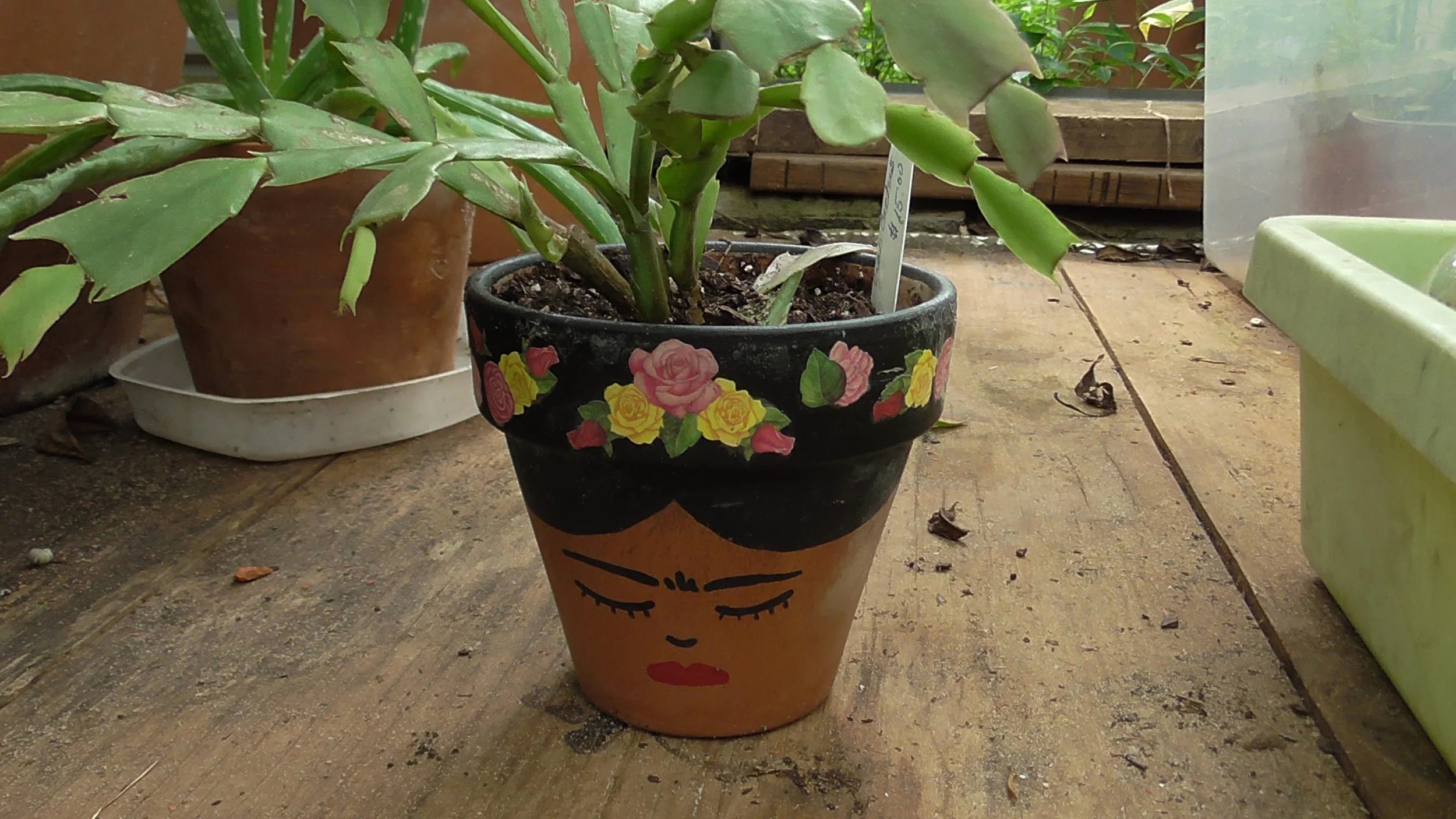 Artisan Pot Famous Ladies collection.JPG