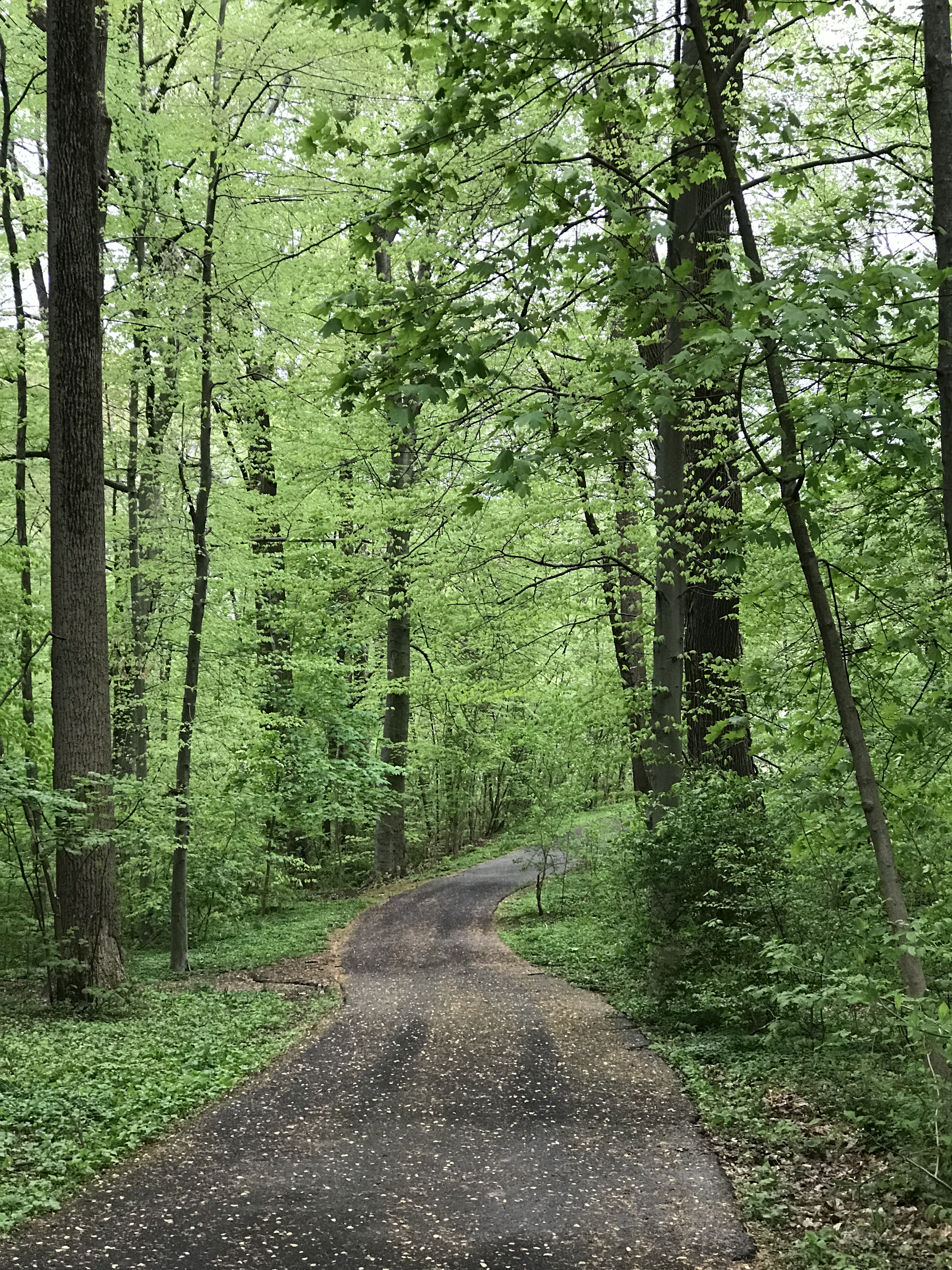 Fanny Chapman Park, Doylestown, PA