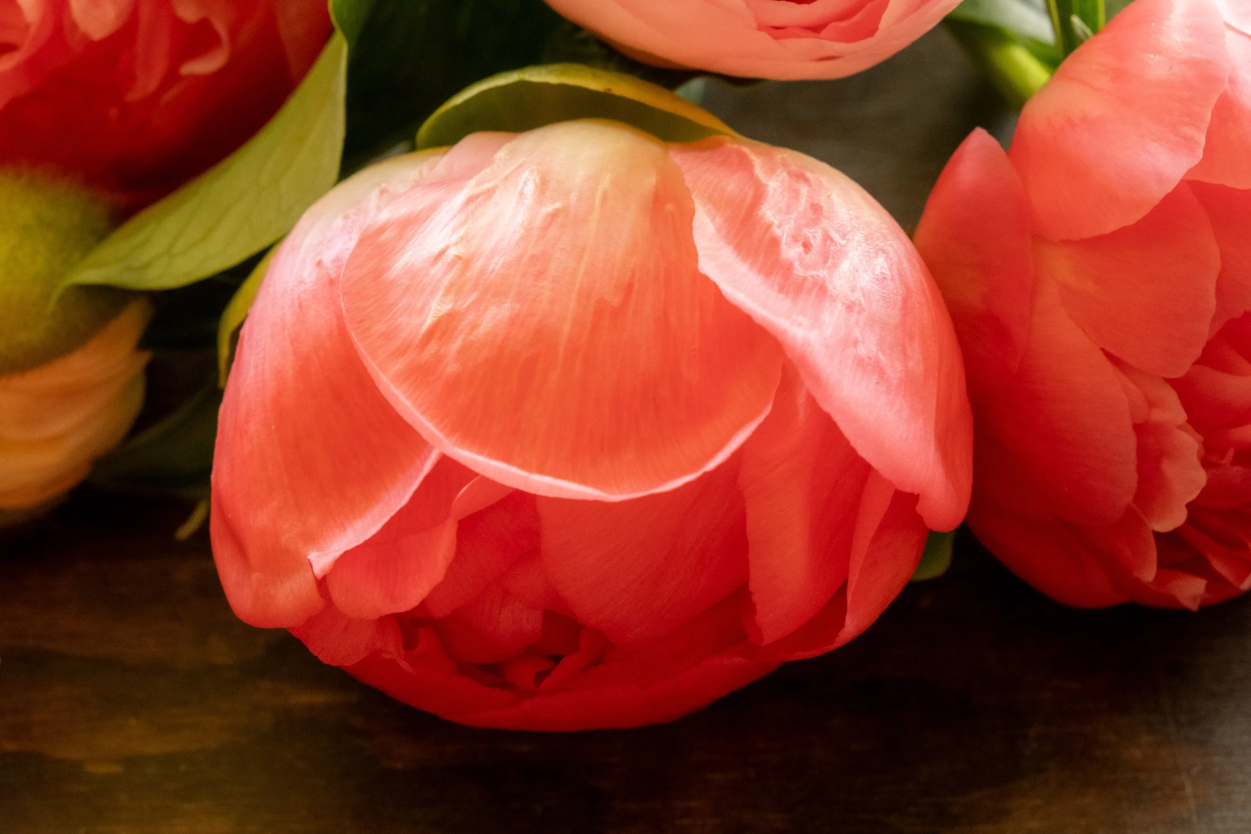 LovenFresh-50.jpg