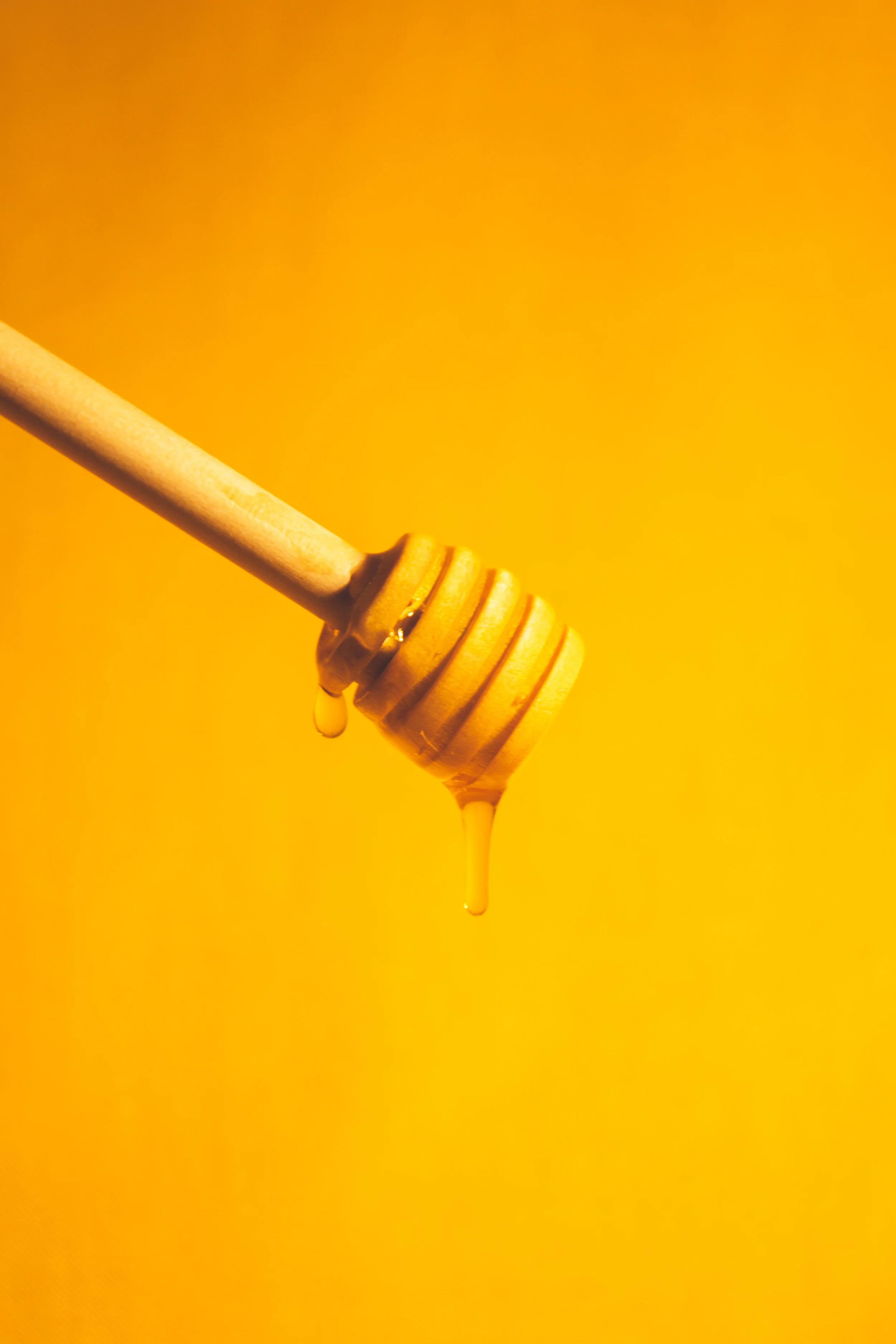 PHXHoneyProduct-7.jpg