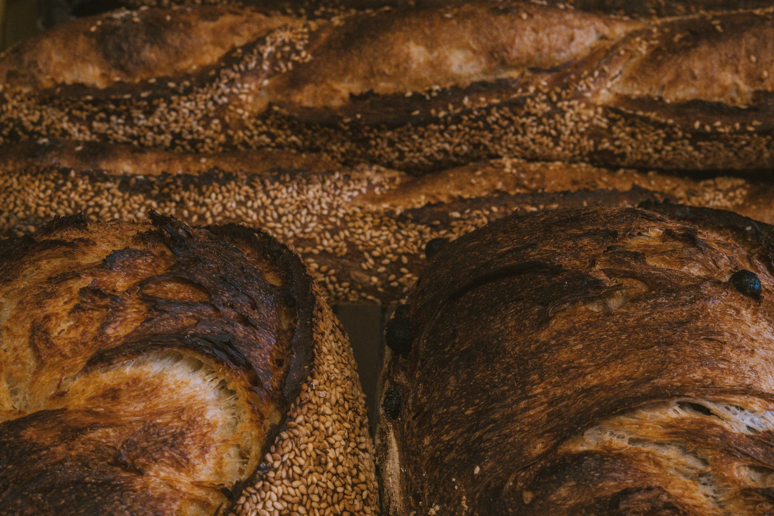 BrandywineBread-35.jpg