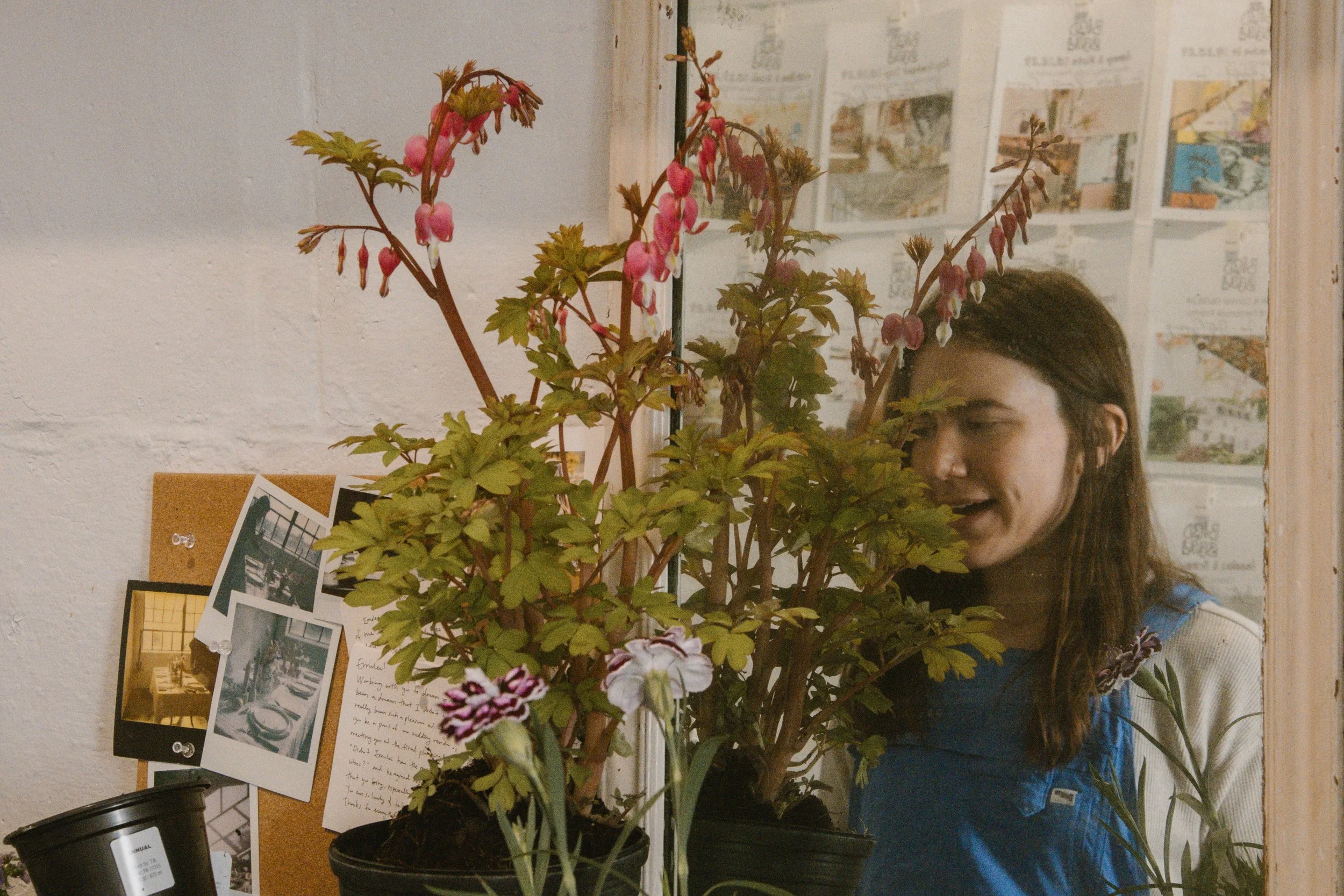 BirdSeedxEastfolk-19.jpg