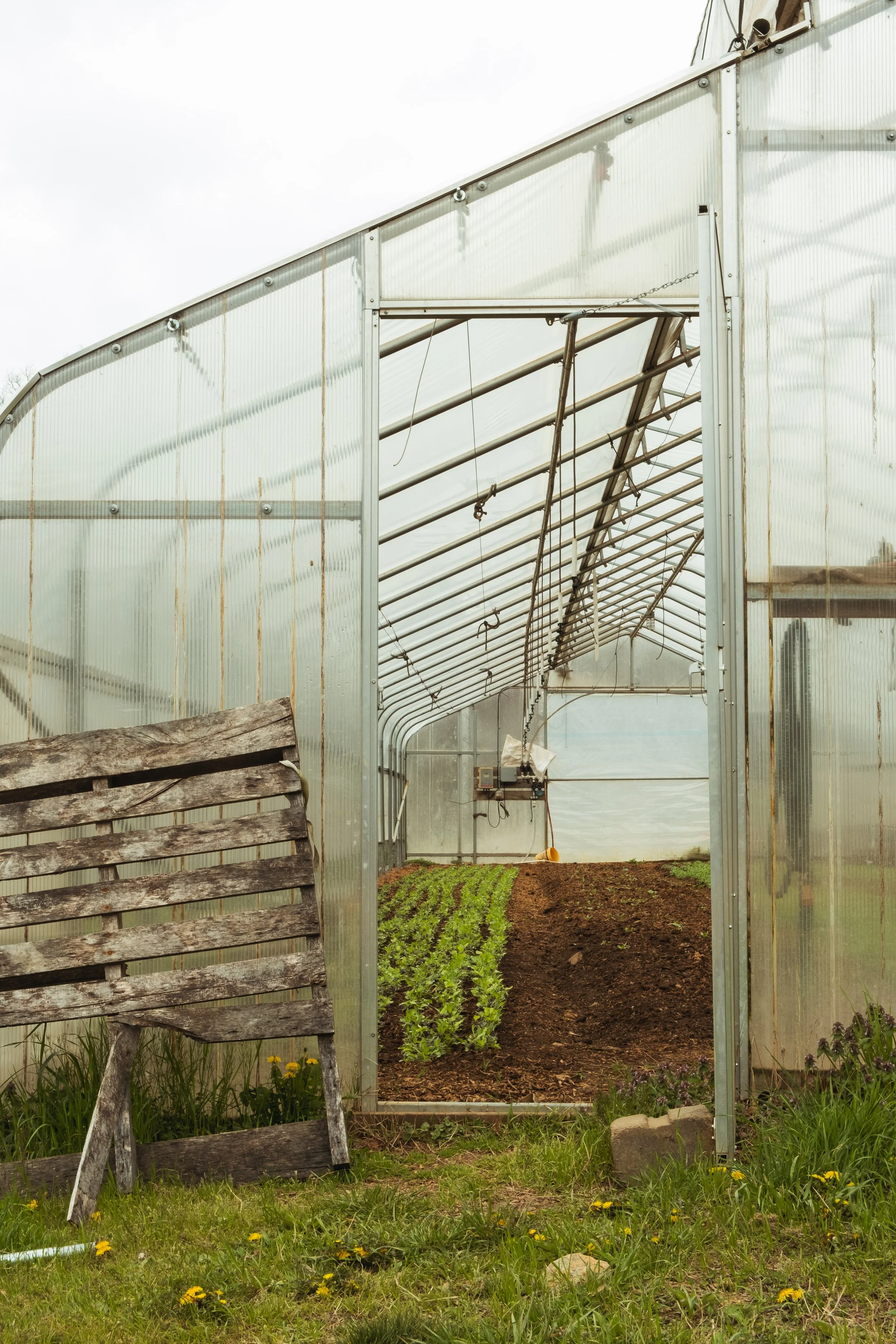 Forge Hill Farms