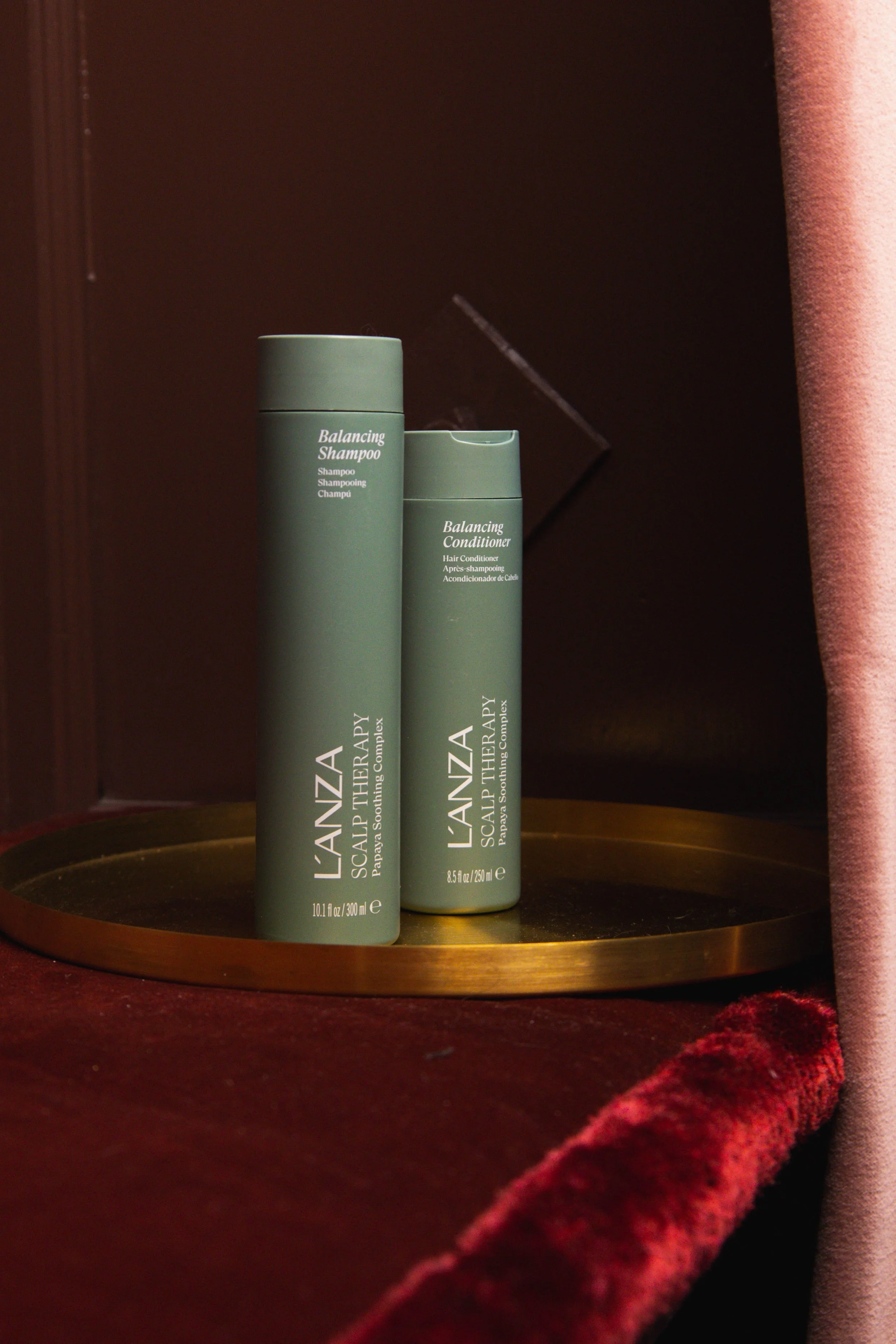 L'ANZA