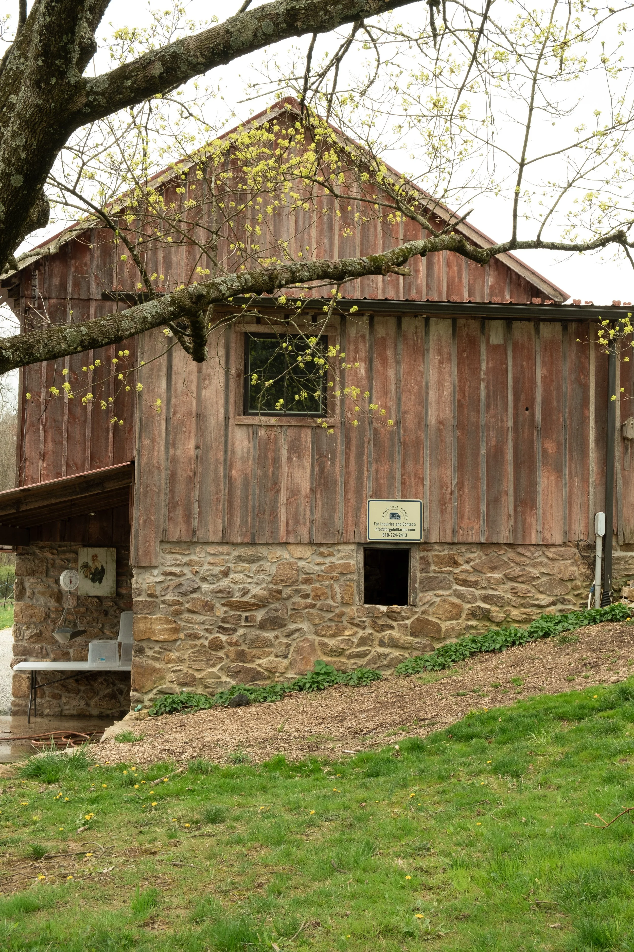 ForgeHill-45.jpg