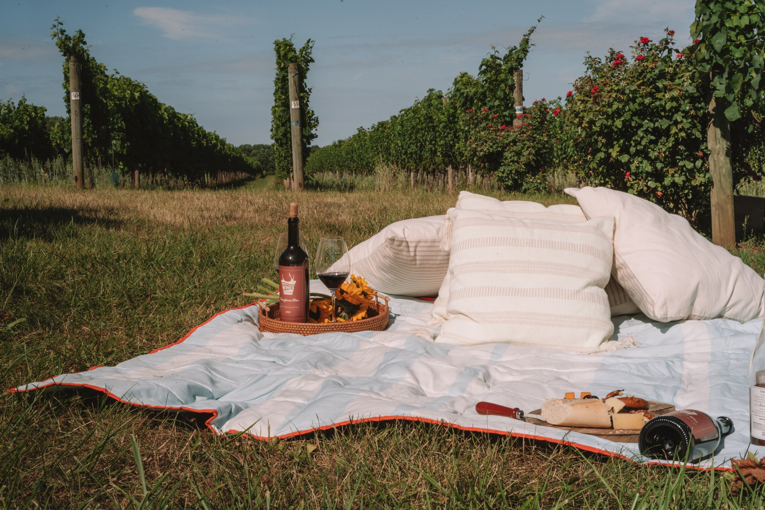 PA Wine
