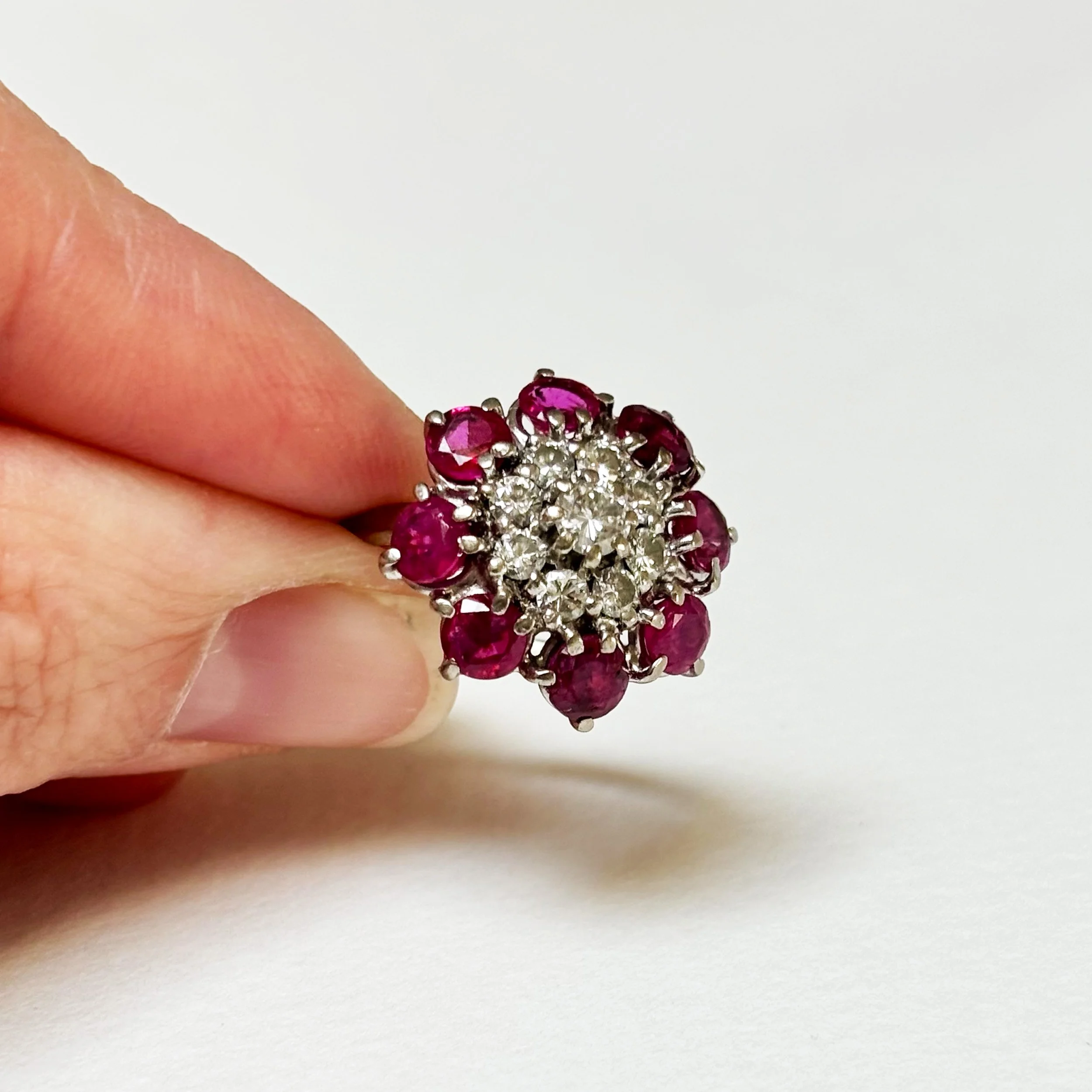 CRA008_ruby cluster_8.jpg