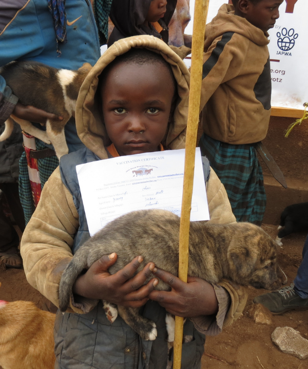 A young boy holding a puppy and a vaccination certificate at an outdoor event.